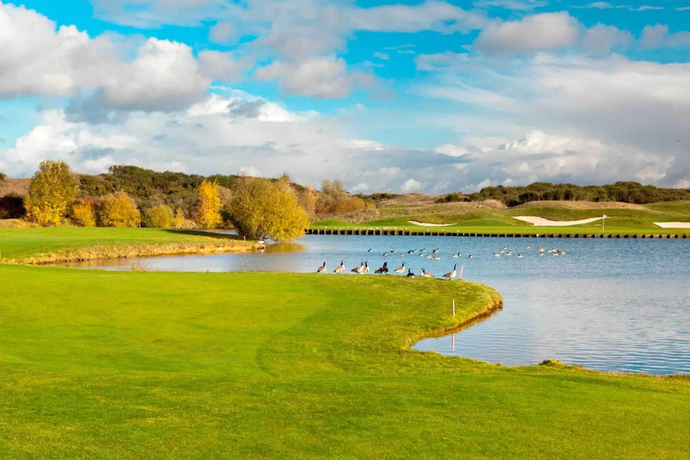 Golfcourse in Novotel Saint-Quentin en Yvelines