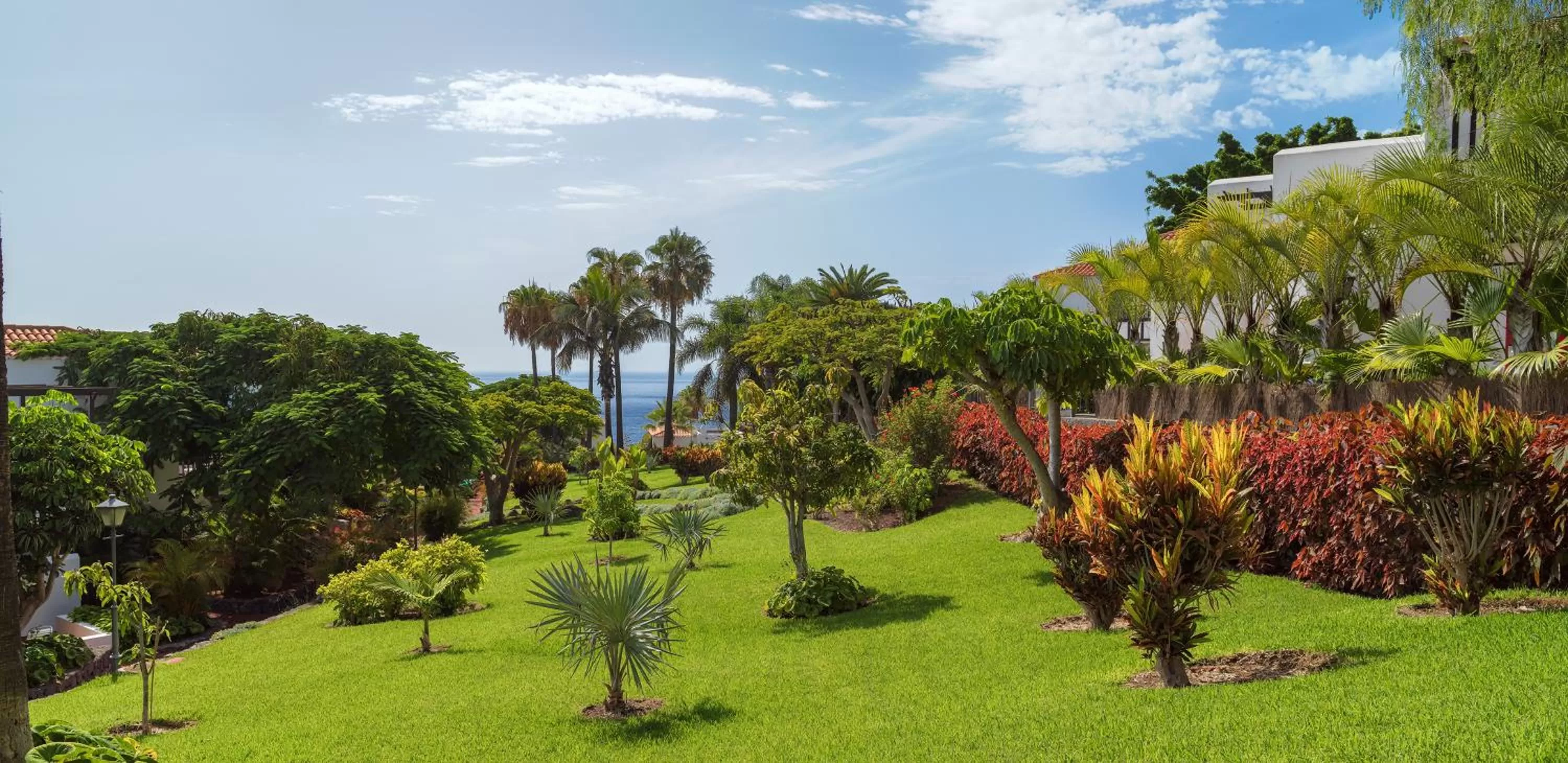 Garden view in Hotel Jardín Tecina
