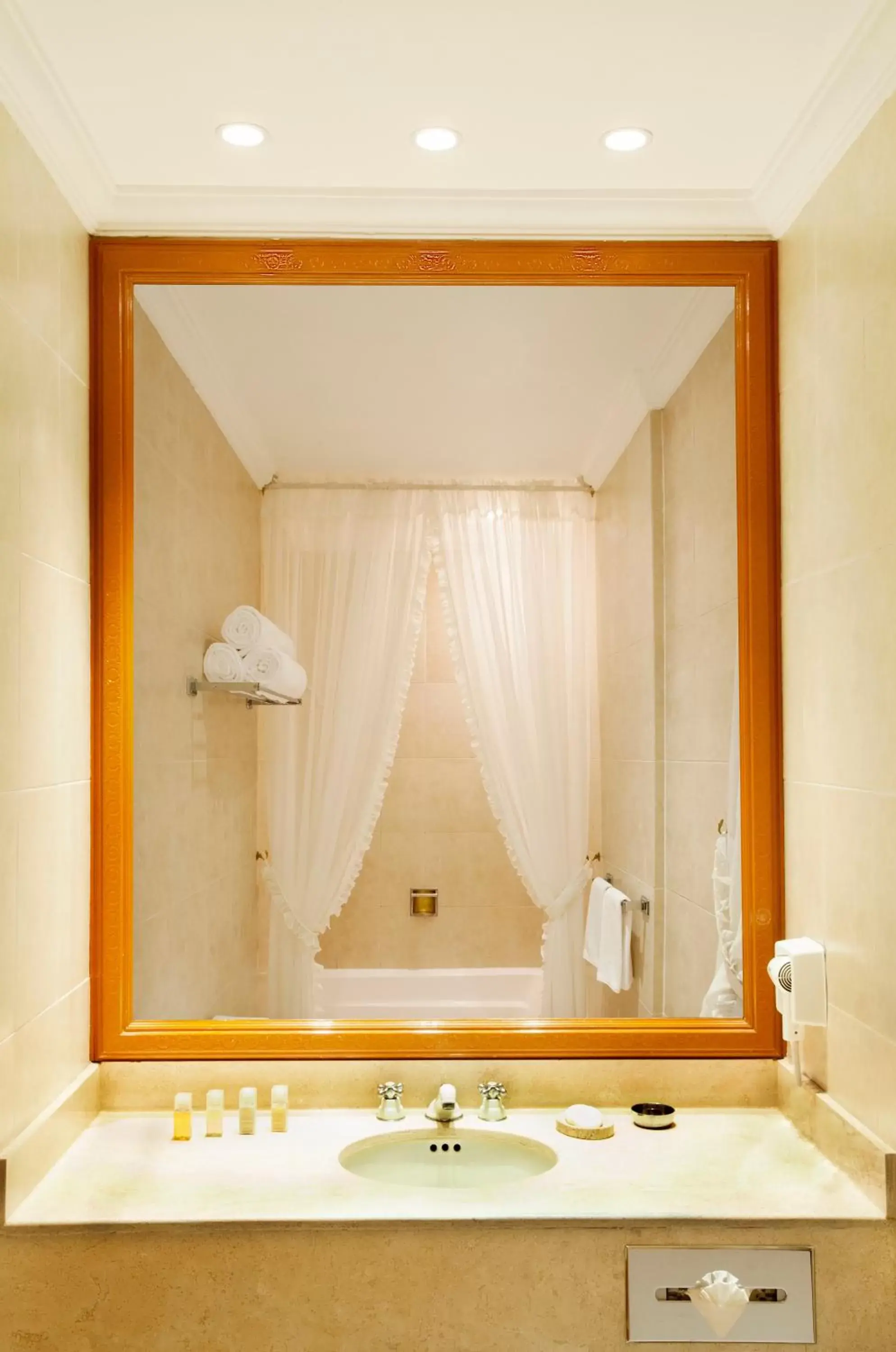 Bathroom in Hotel Geneve CD de Mexico