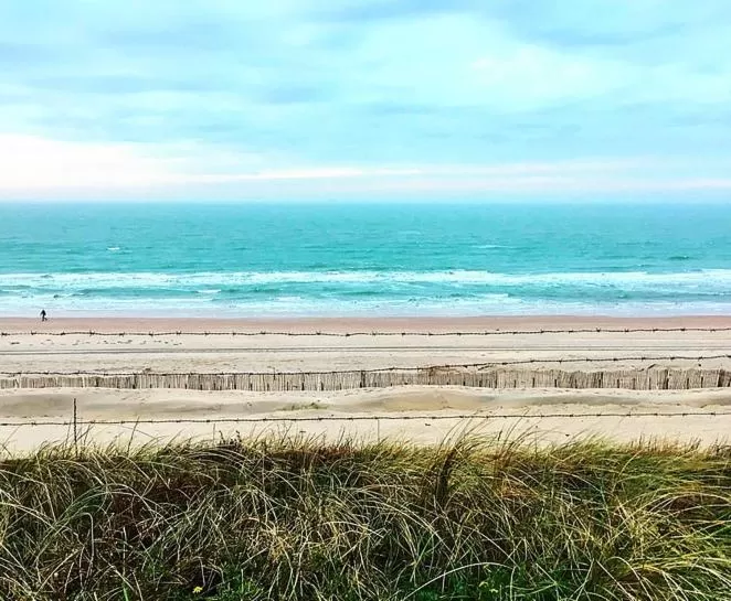 Natural landscape in Tiny House Lindenhouse