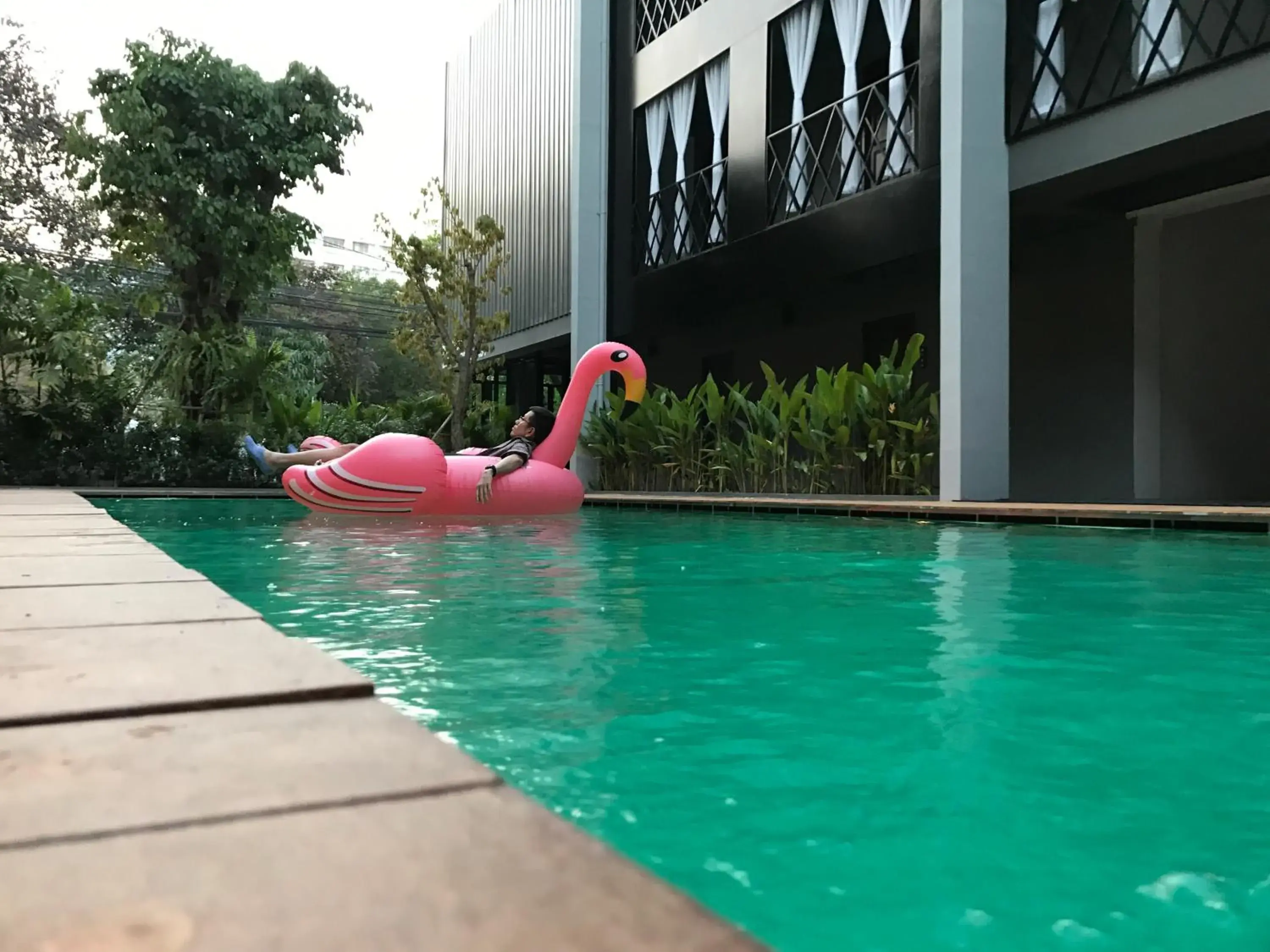 Swimming Pool in Shane Hotel