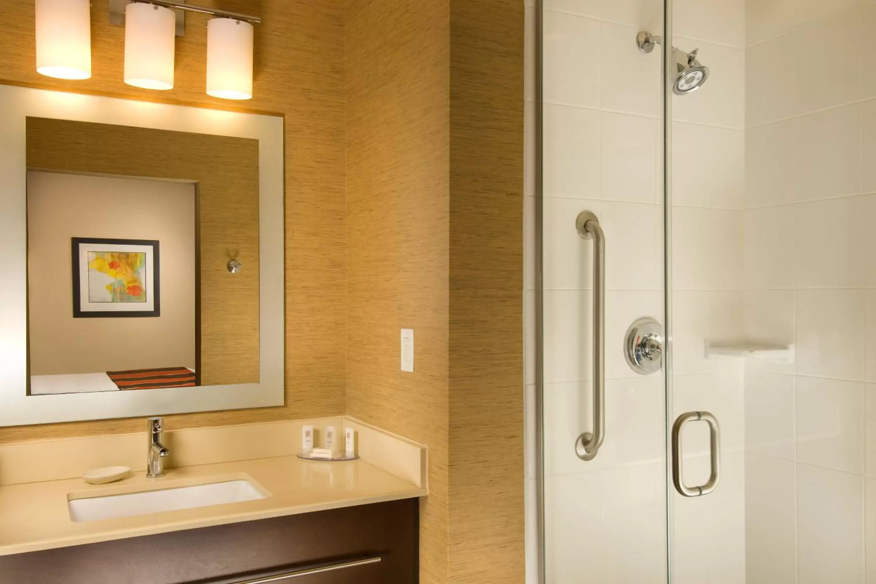 Bathroom in TownePlace Suites by Marriott San Antonio Downtown Riverwalk
