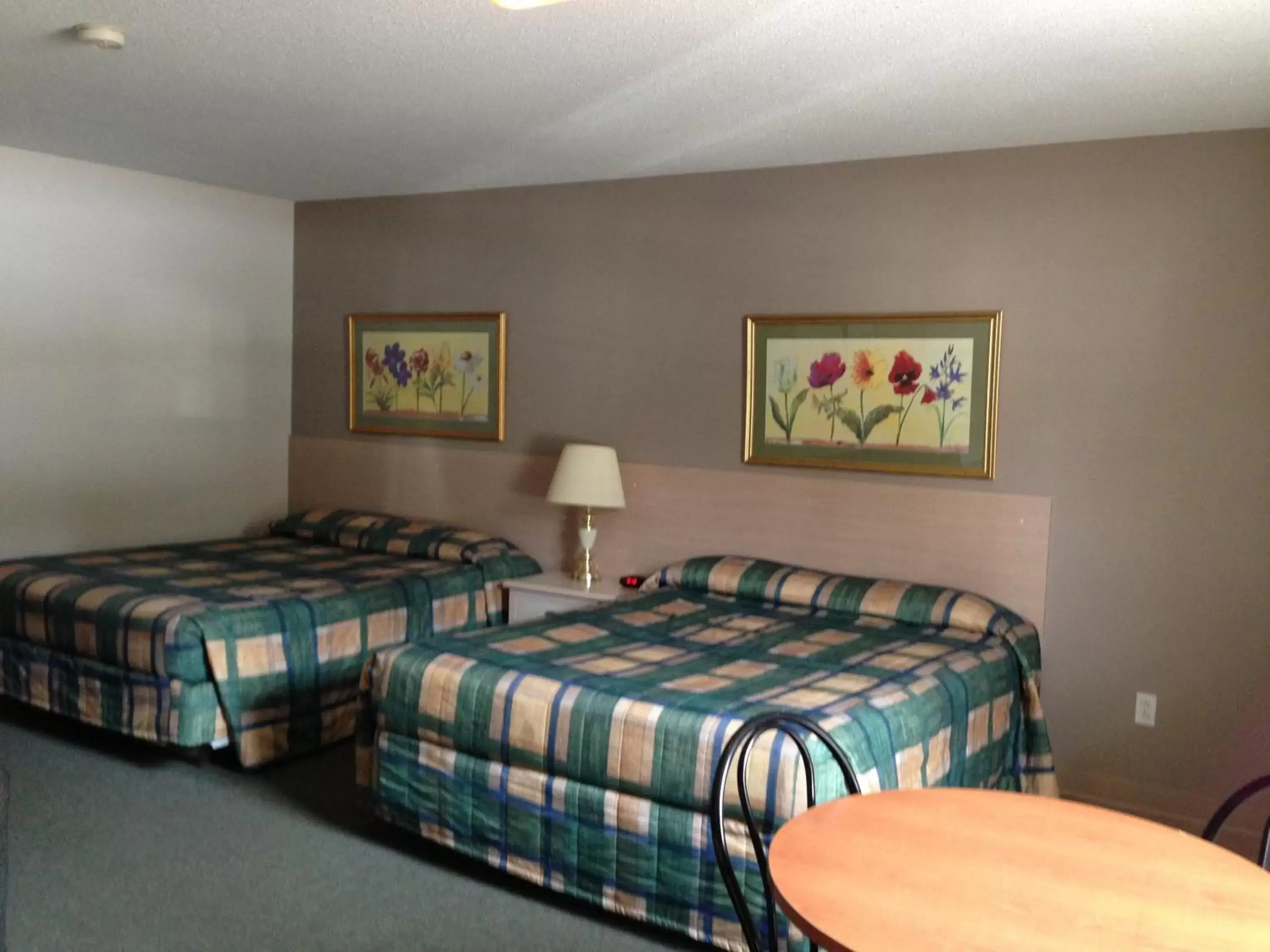 Bed in Settler's Inn & Motel