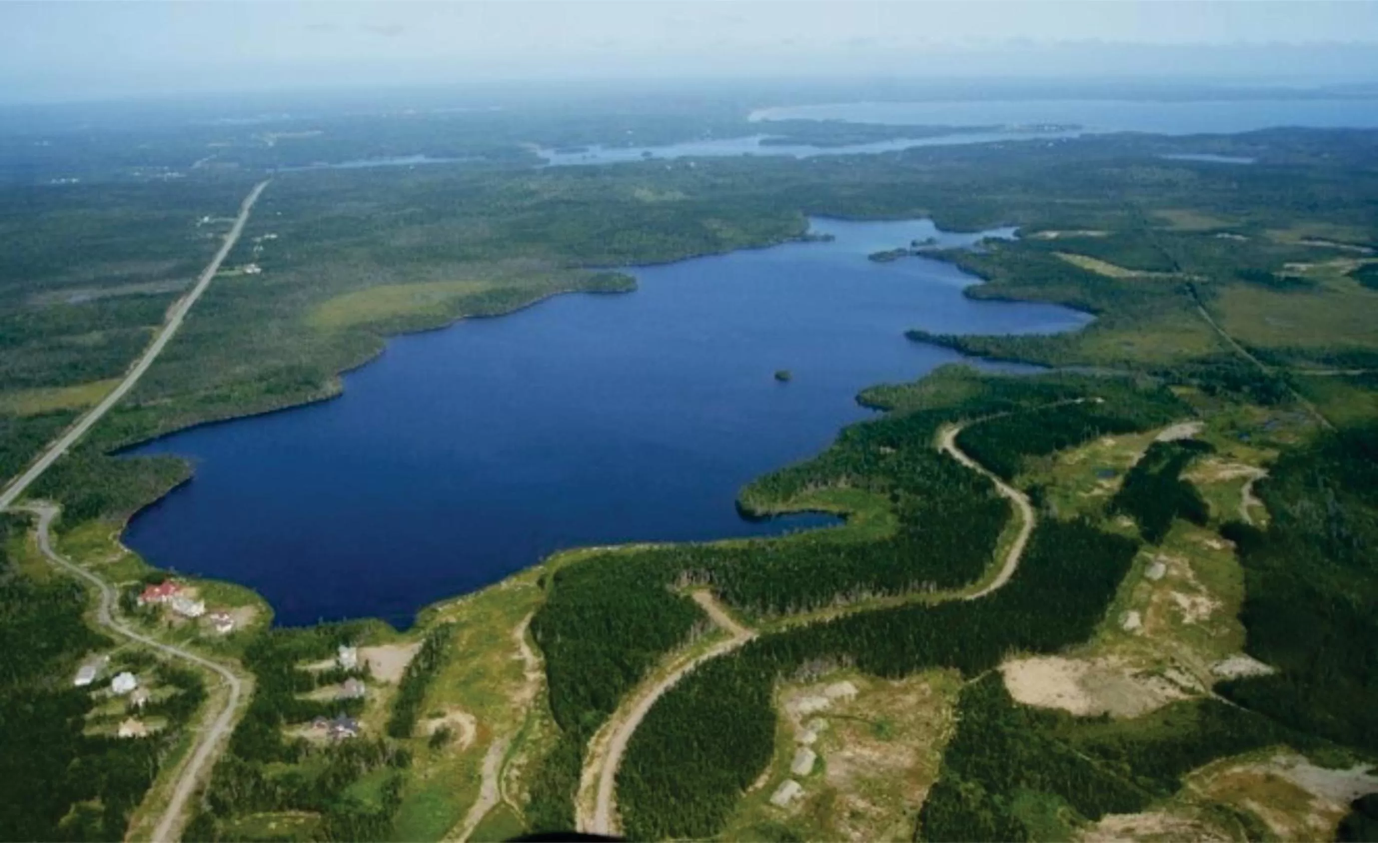 Bird's-eye View in The Cozy Fox BNB-Woodland Room