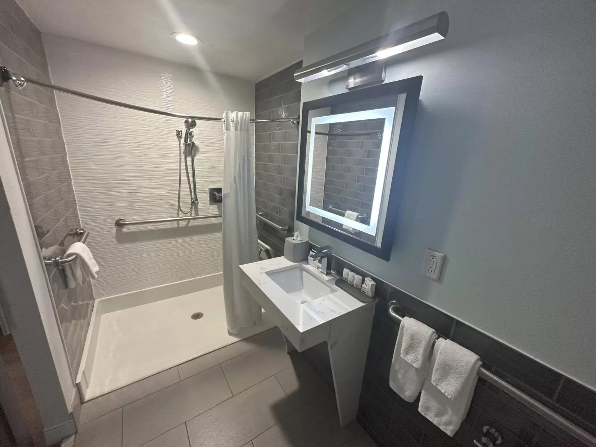 Bathroom in Holiday Inn Express - Dallas Downtown, an IHG Hotel