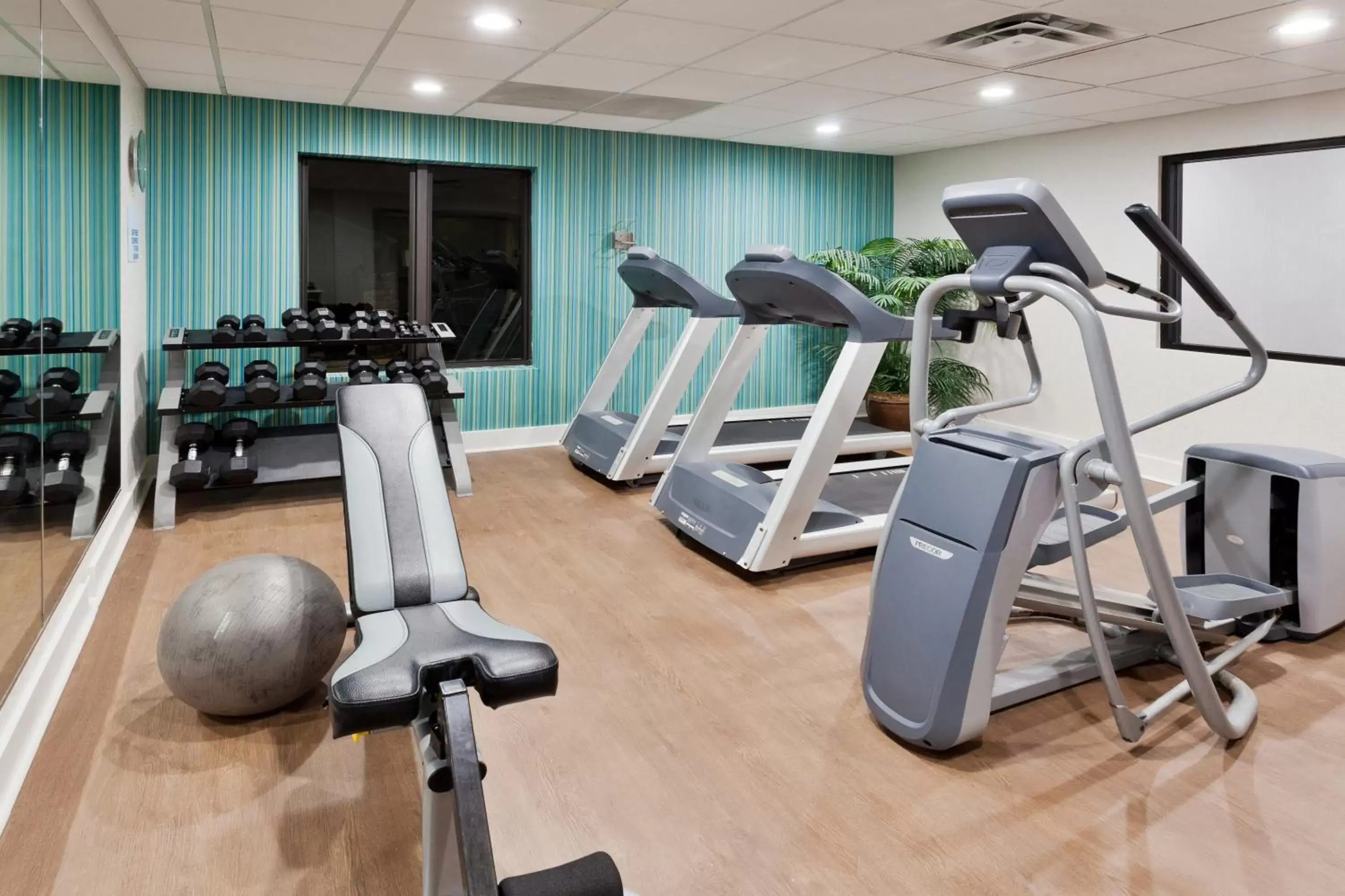 Fitness centre/facilities, Fitness Center/Facilities in Holiday Inn Express Rome-East, an IHG Hotel