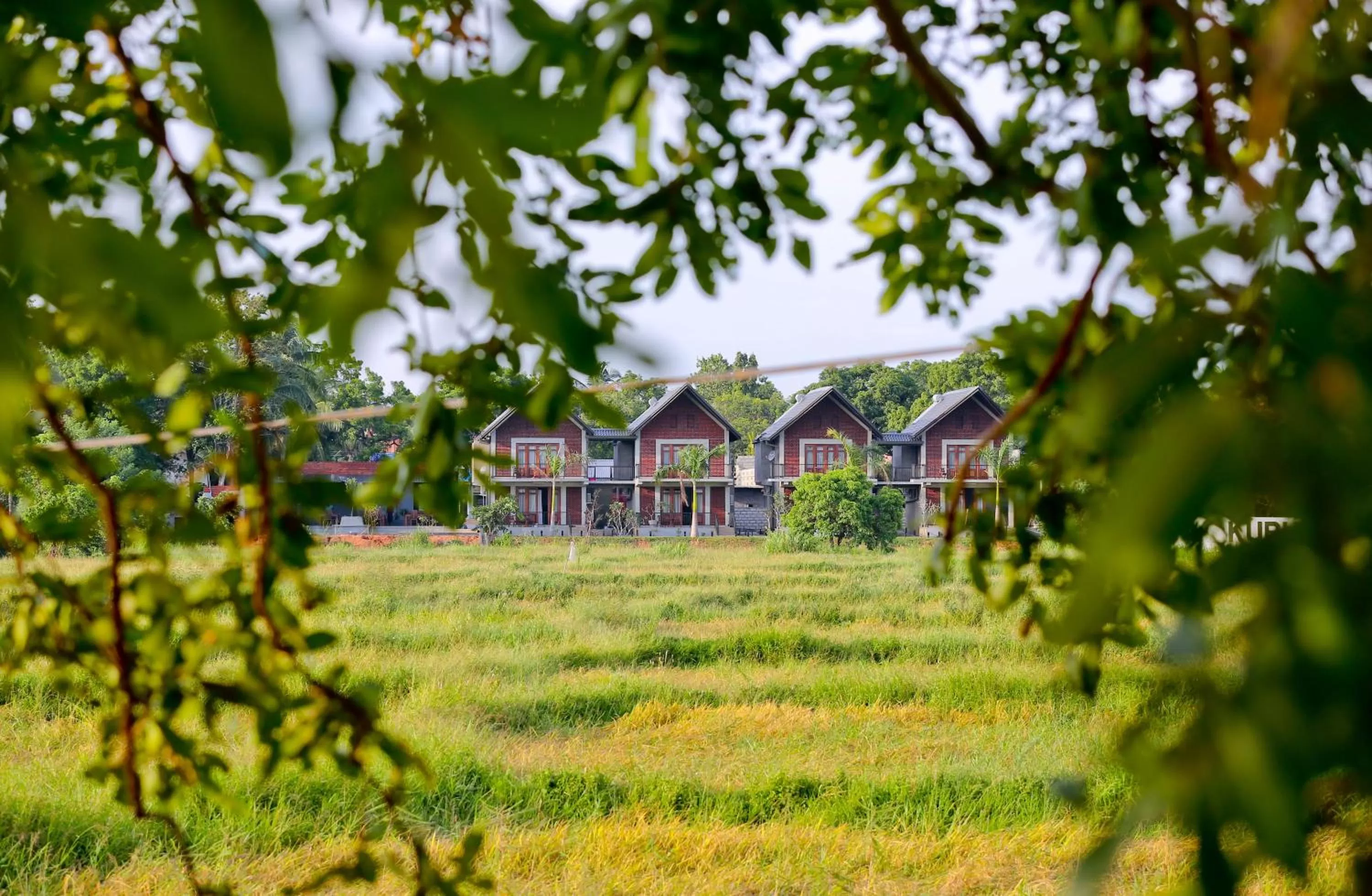 Garden view in Kubura Resort