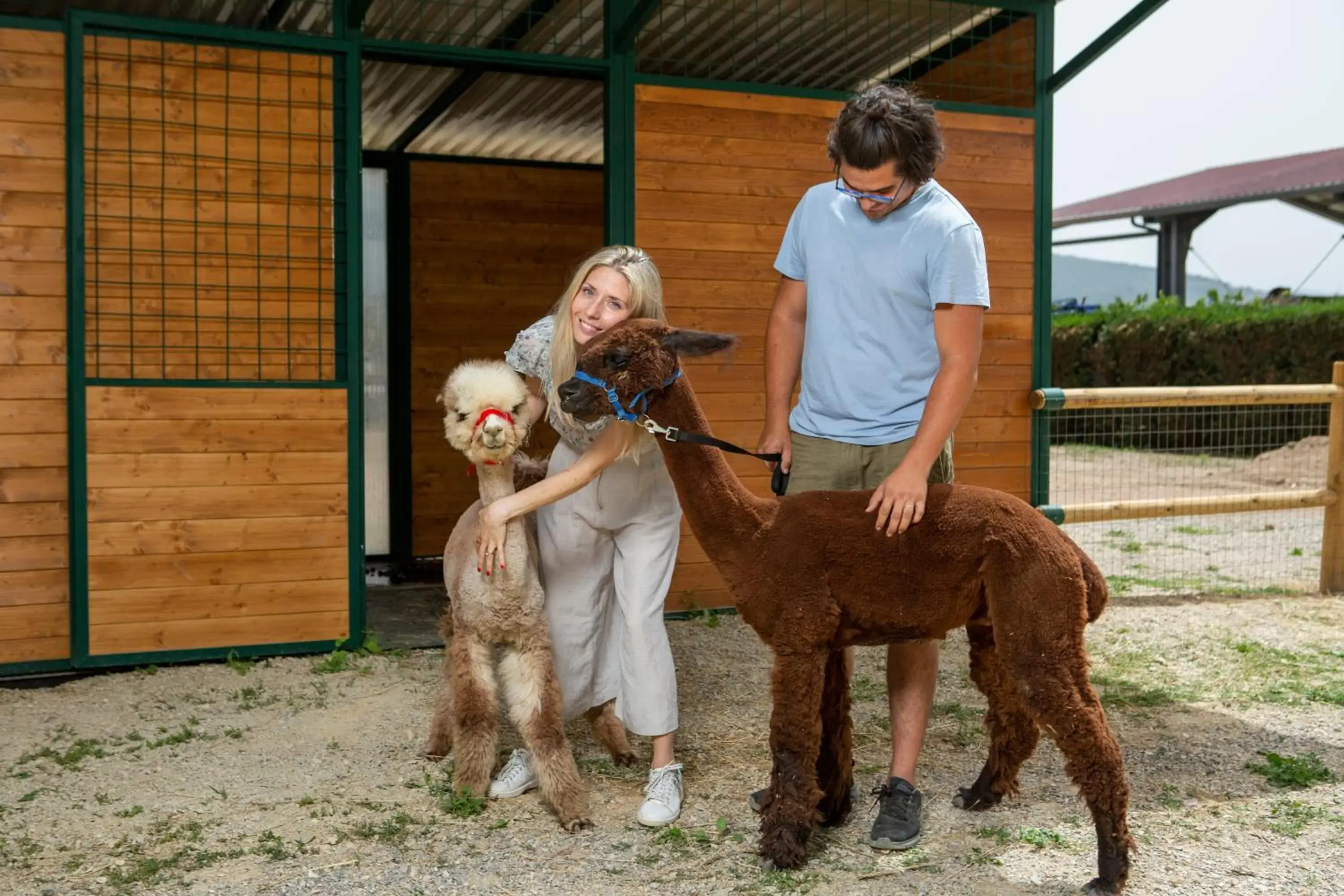 Animals in Hotel Le Capanne