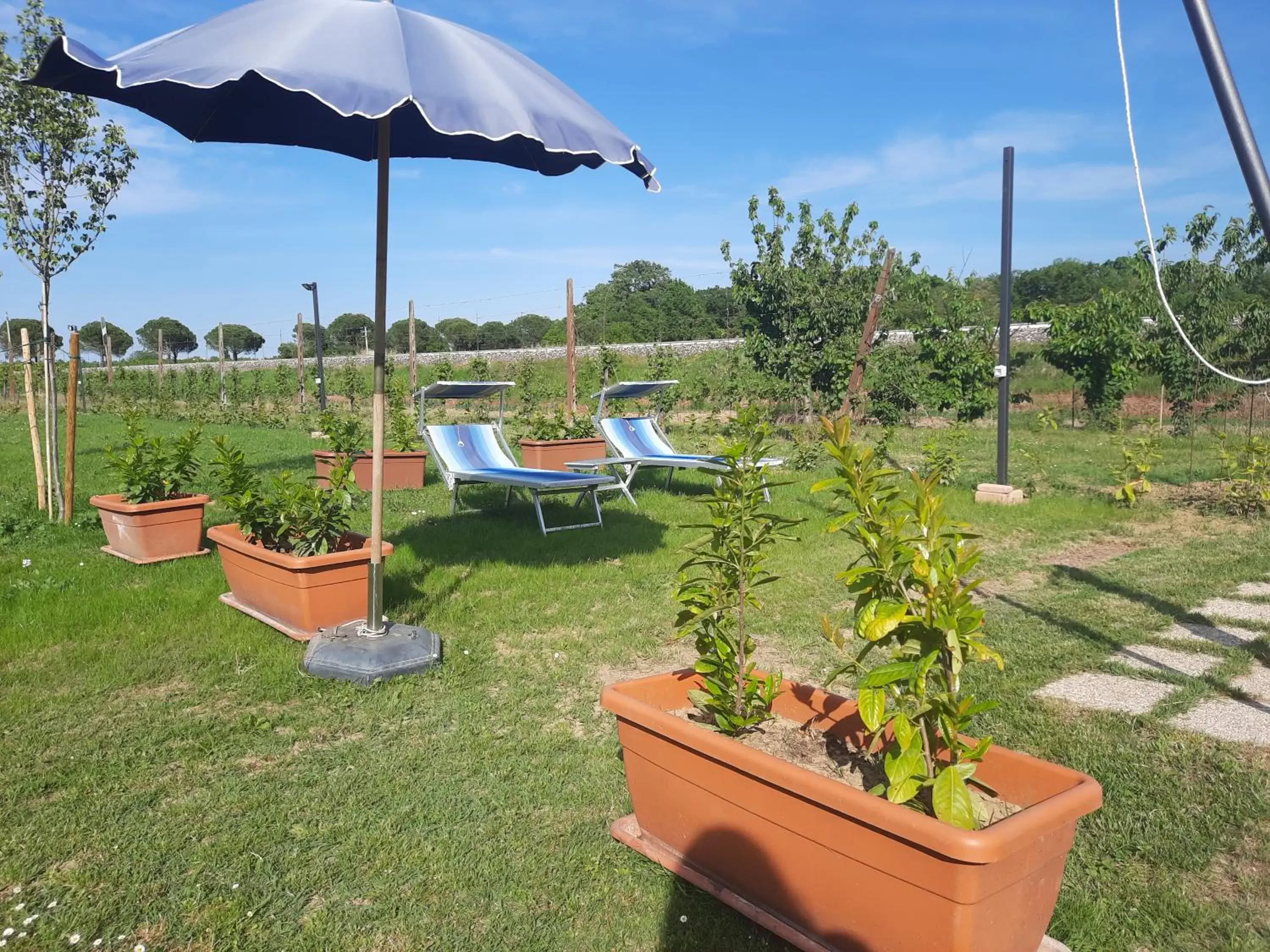 Garden in La Casa della Nonna