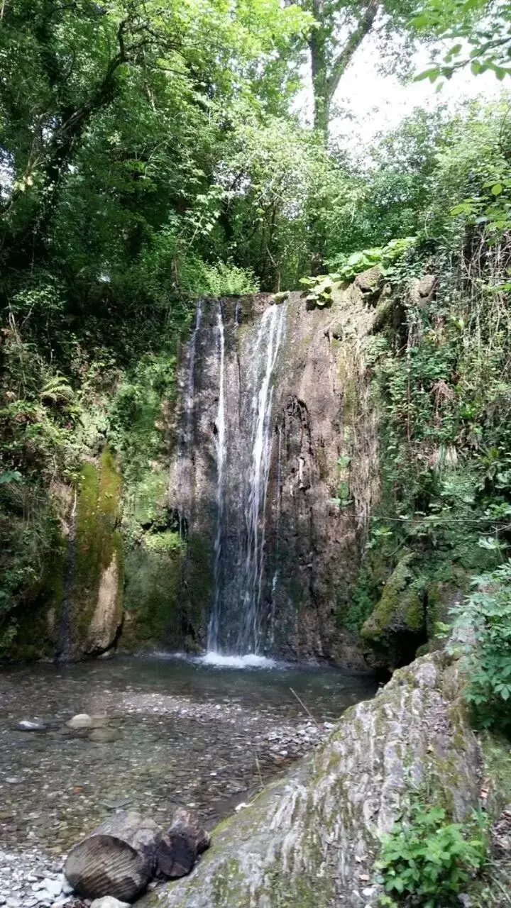 Natural Landscape in B&B Casalnovo