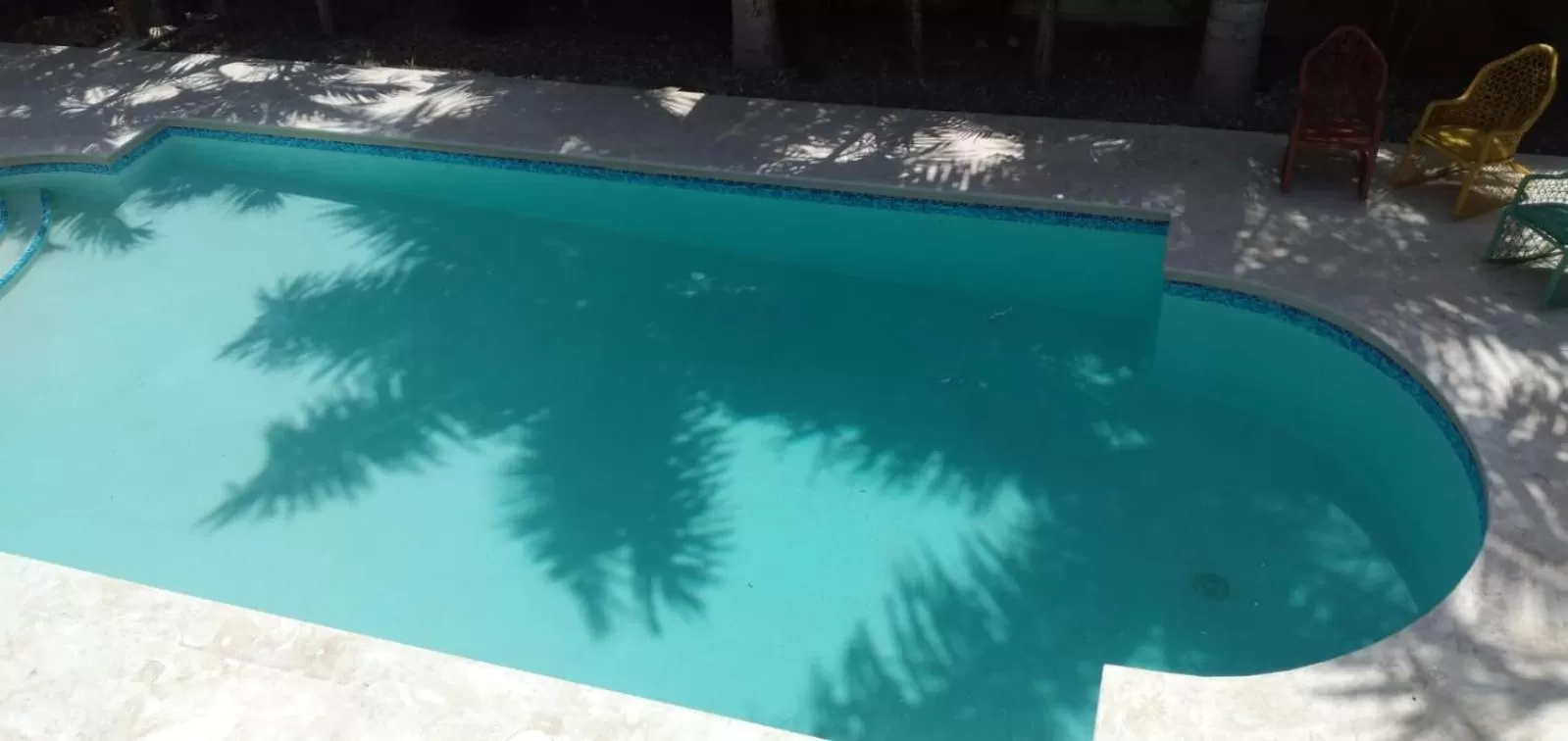 Swimming pool in B&B Pavillion