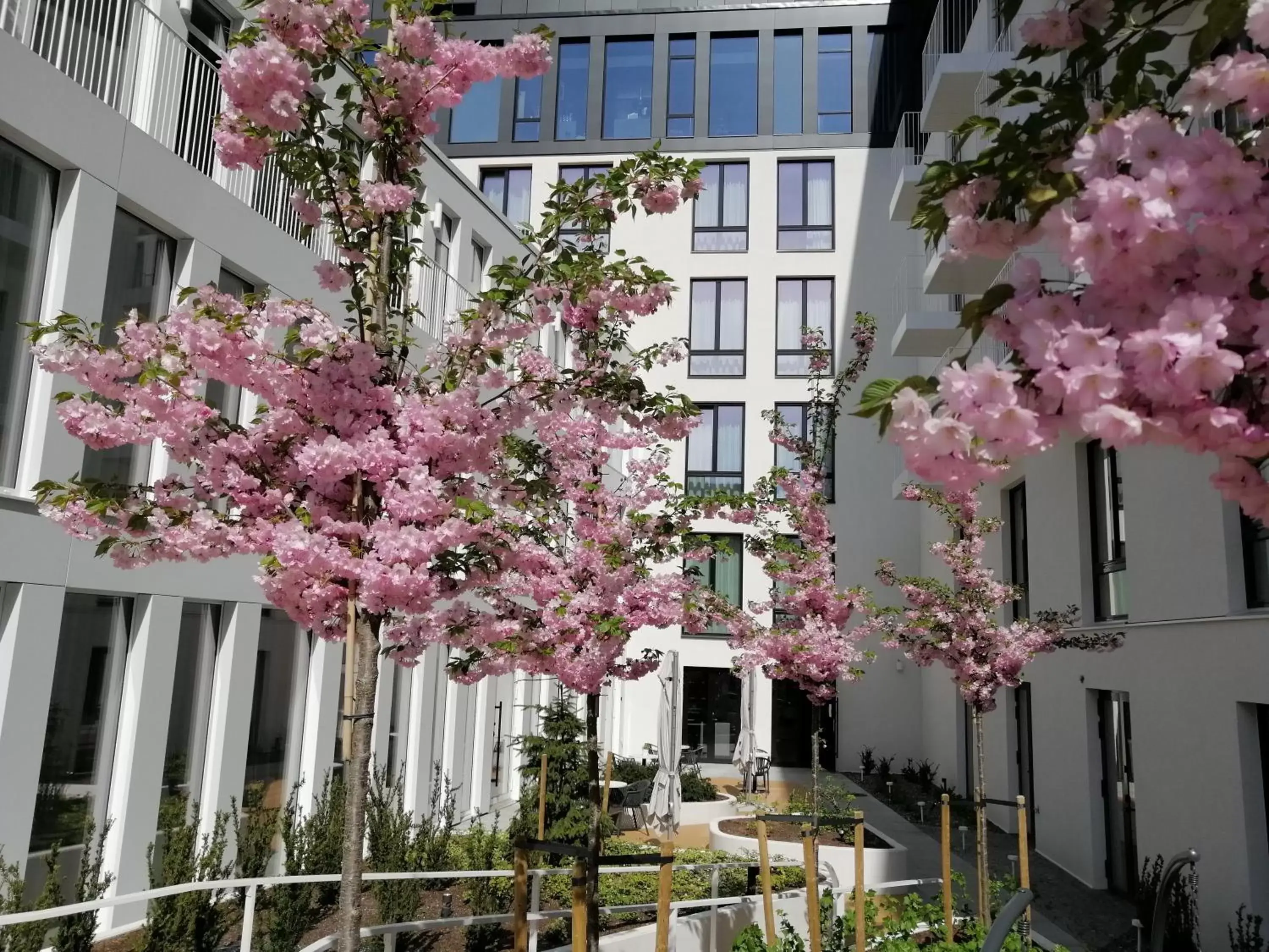 Patio in Hotel Lembitu Tallinn