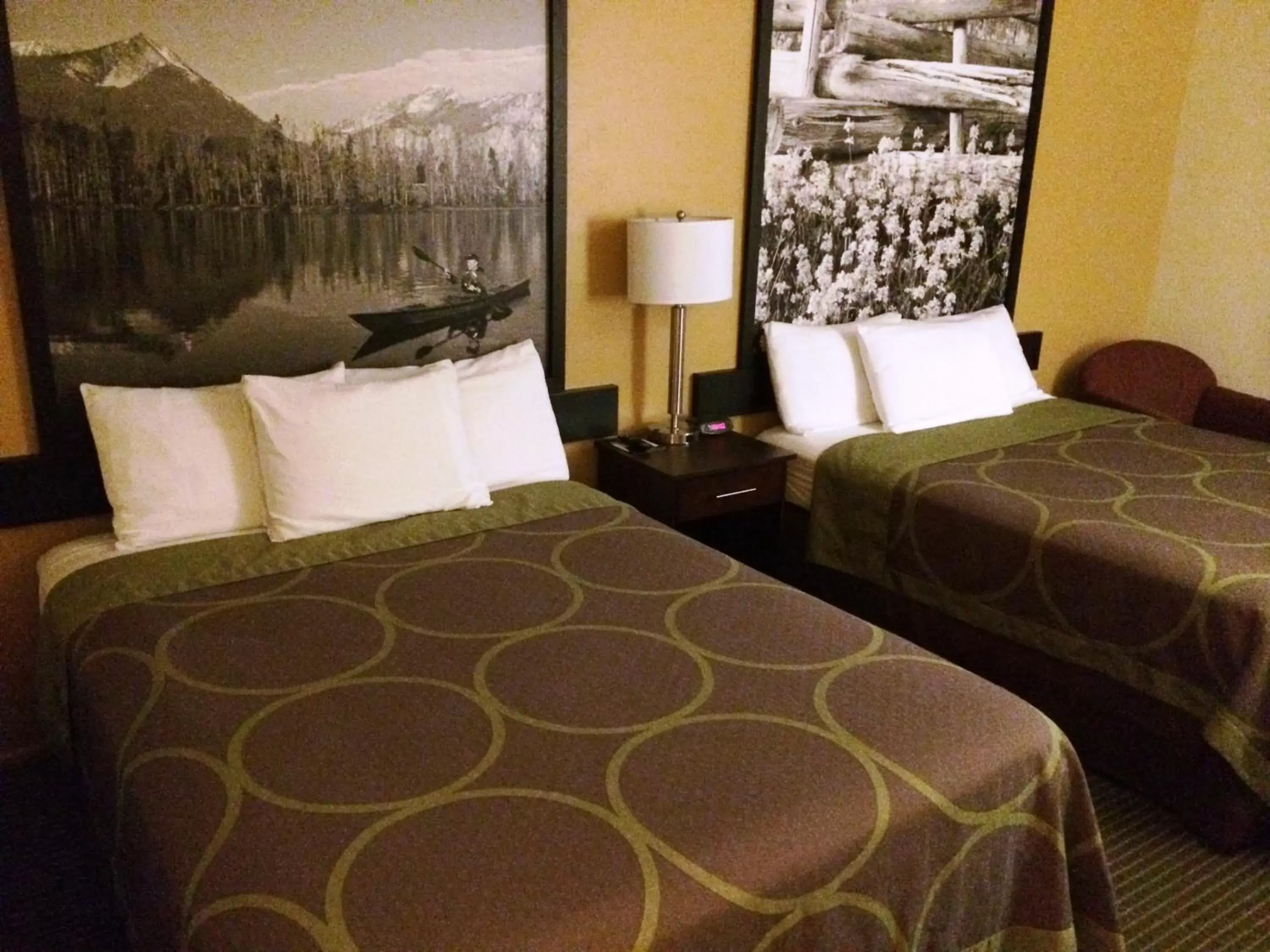 Bed in Super 8 by Wyndham Idaho Falls