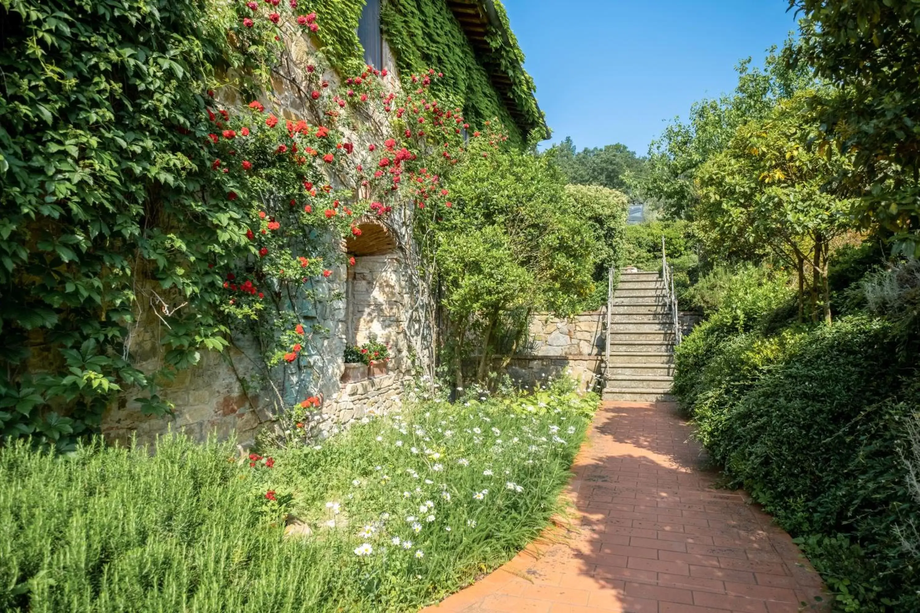 Garden in Terre di Baccio