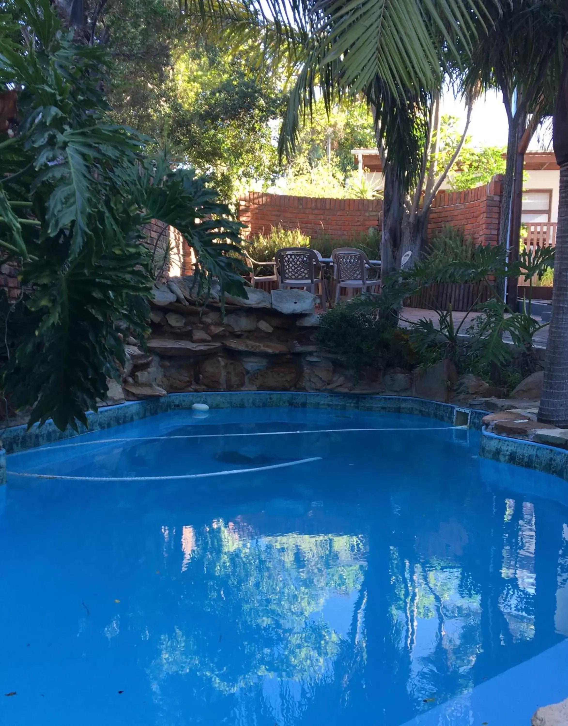 Swimming Pool in La Mer Guesthouse