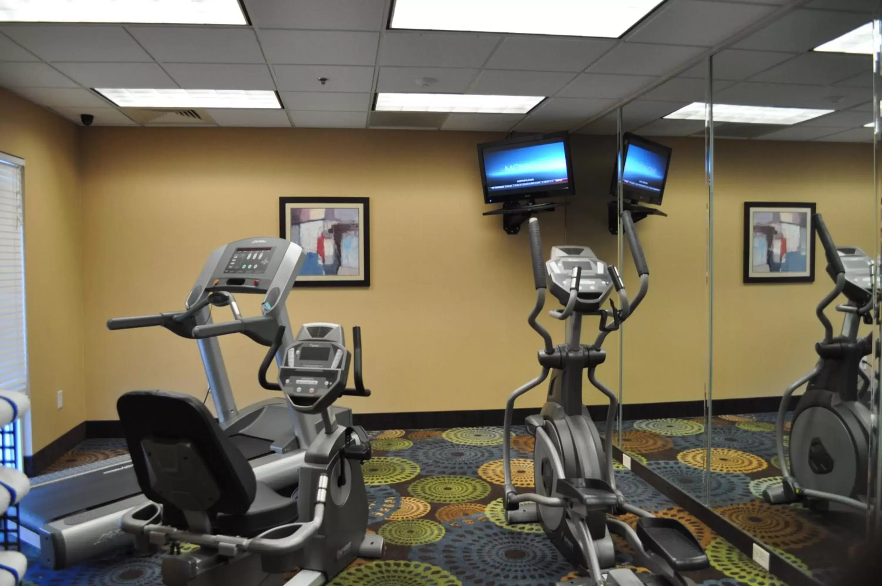 Fitness centre/facilities, Fitness Center/Facilities in Holiday Inn Express Williamston, an IHG Hotel