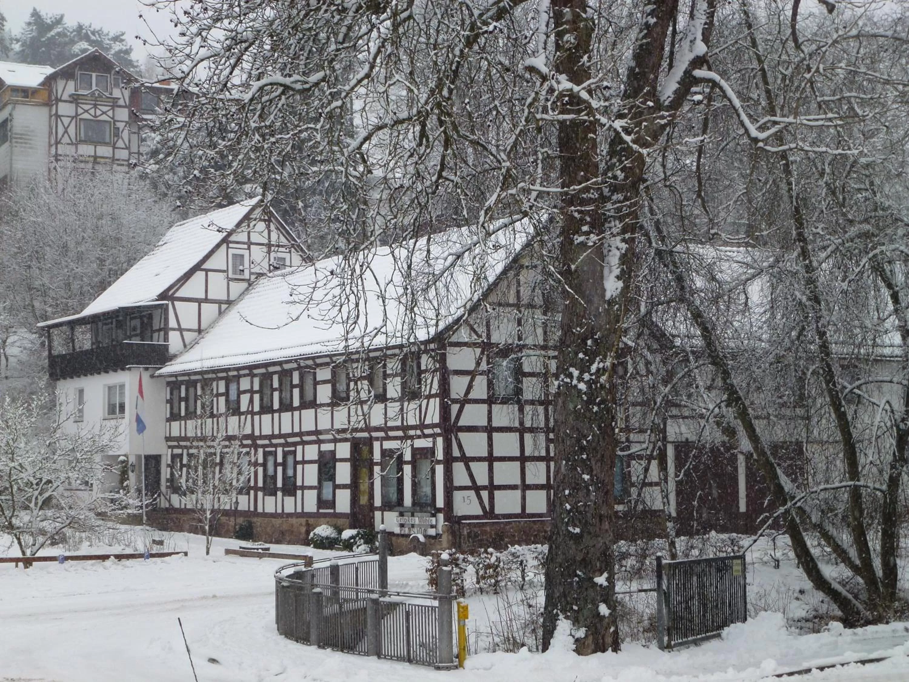 Winter in Hotel Pension Gelpkes Mühle