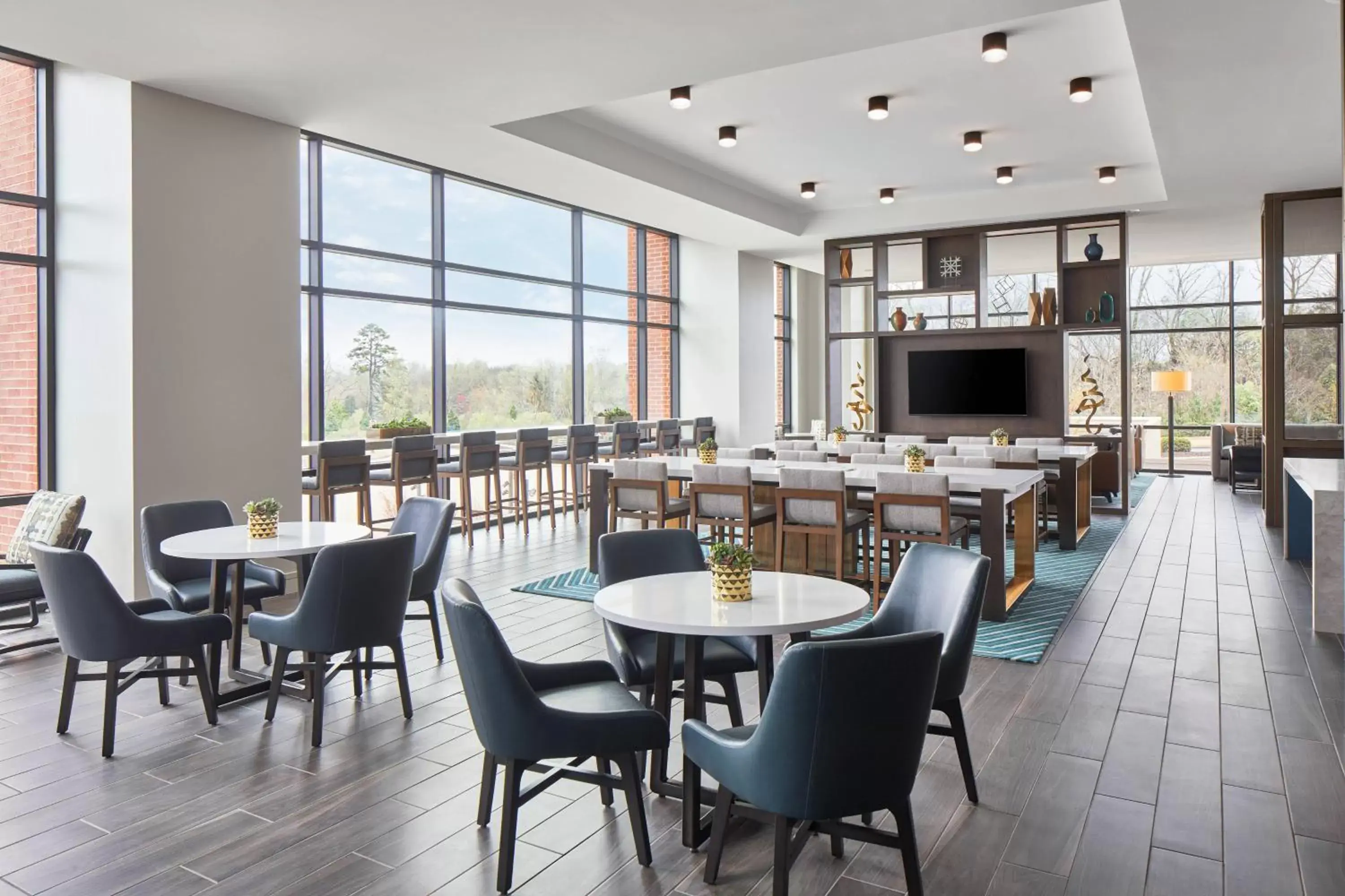 Lounge or bar, Restaurant/Places to Eat in UNC Charlotte Marriott Hotel & Conference Center