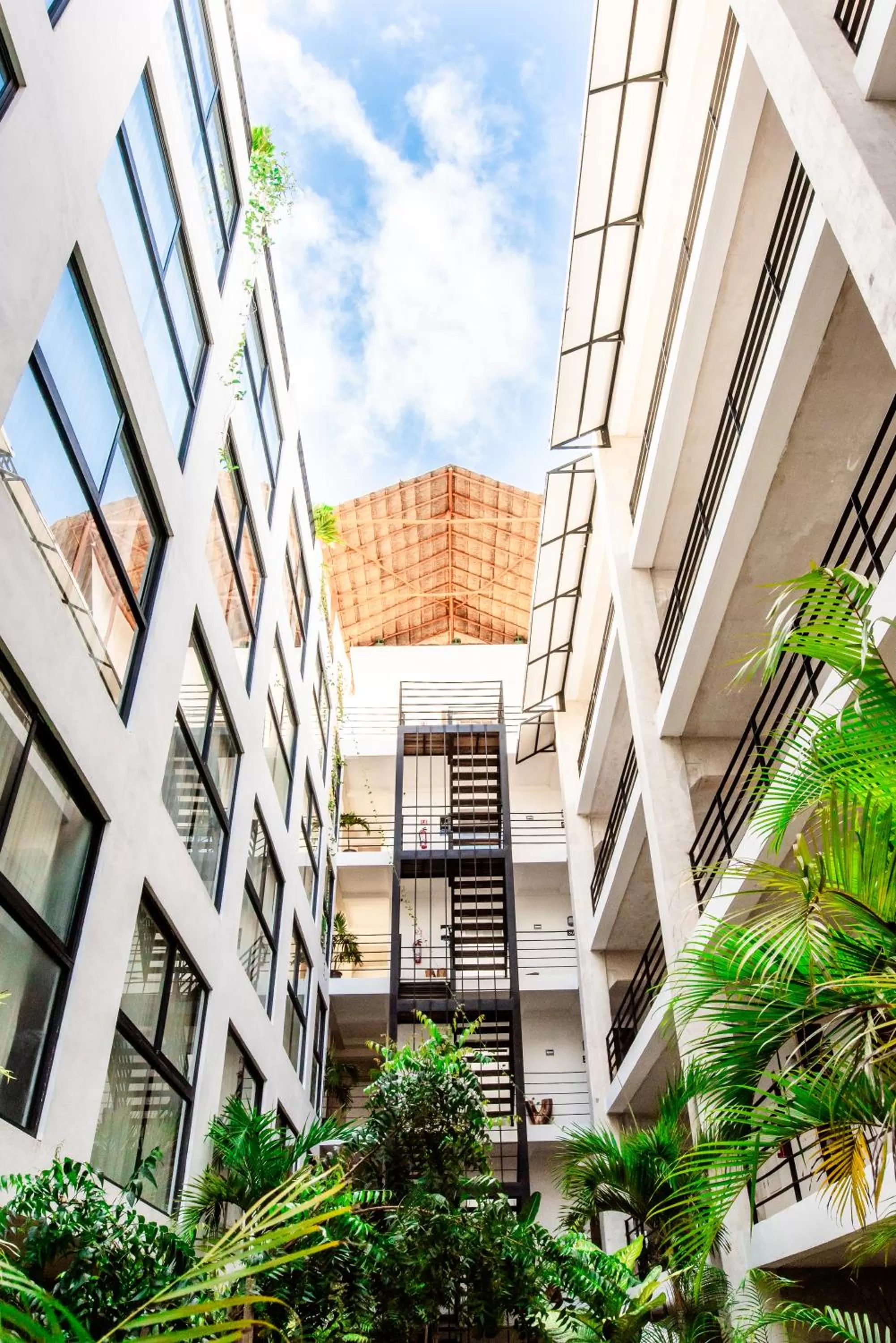 Garden view in Hotel 52 Playa del Carmen