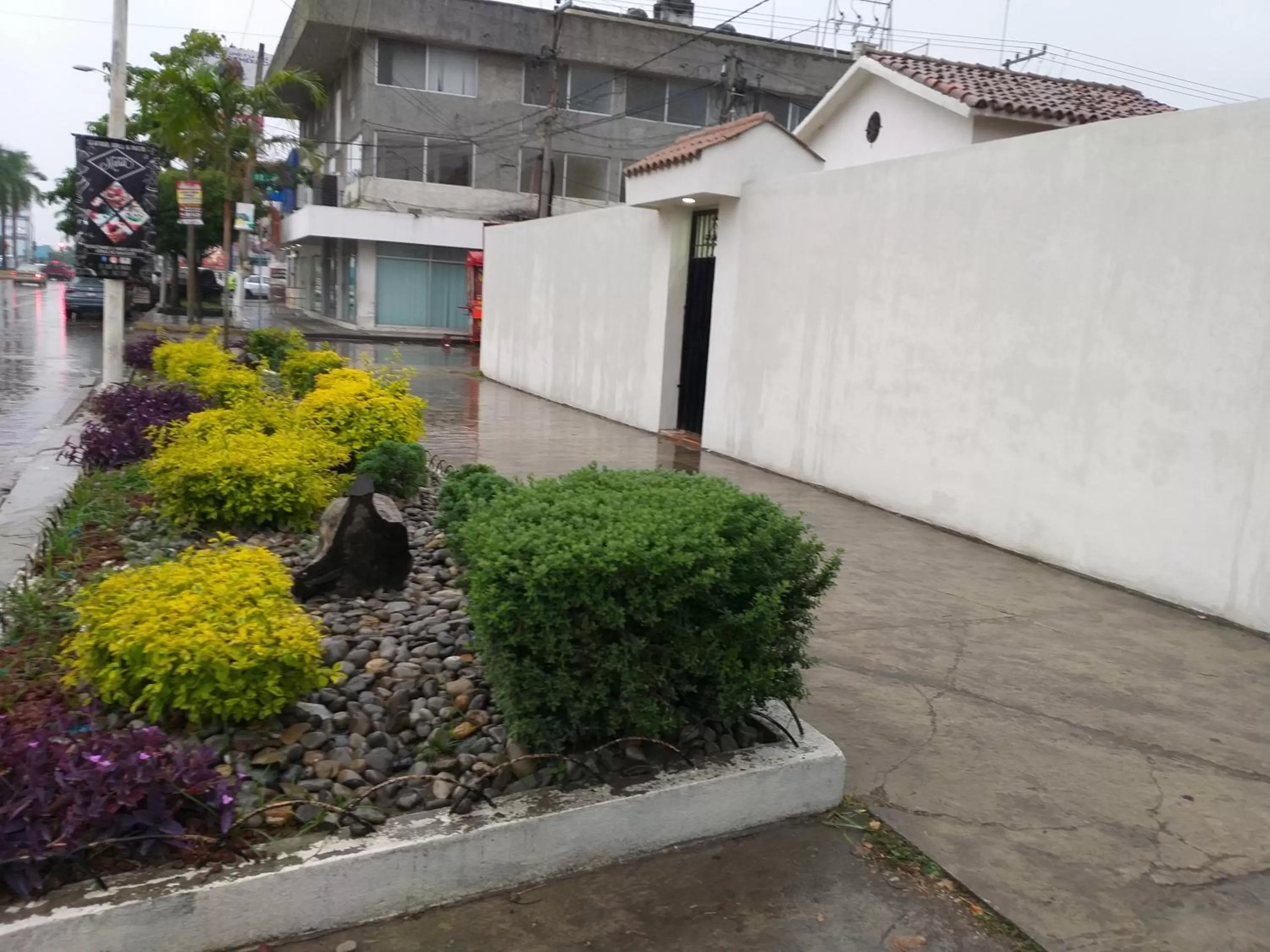 Property building in Casa AMMAH