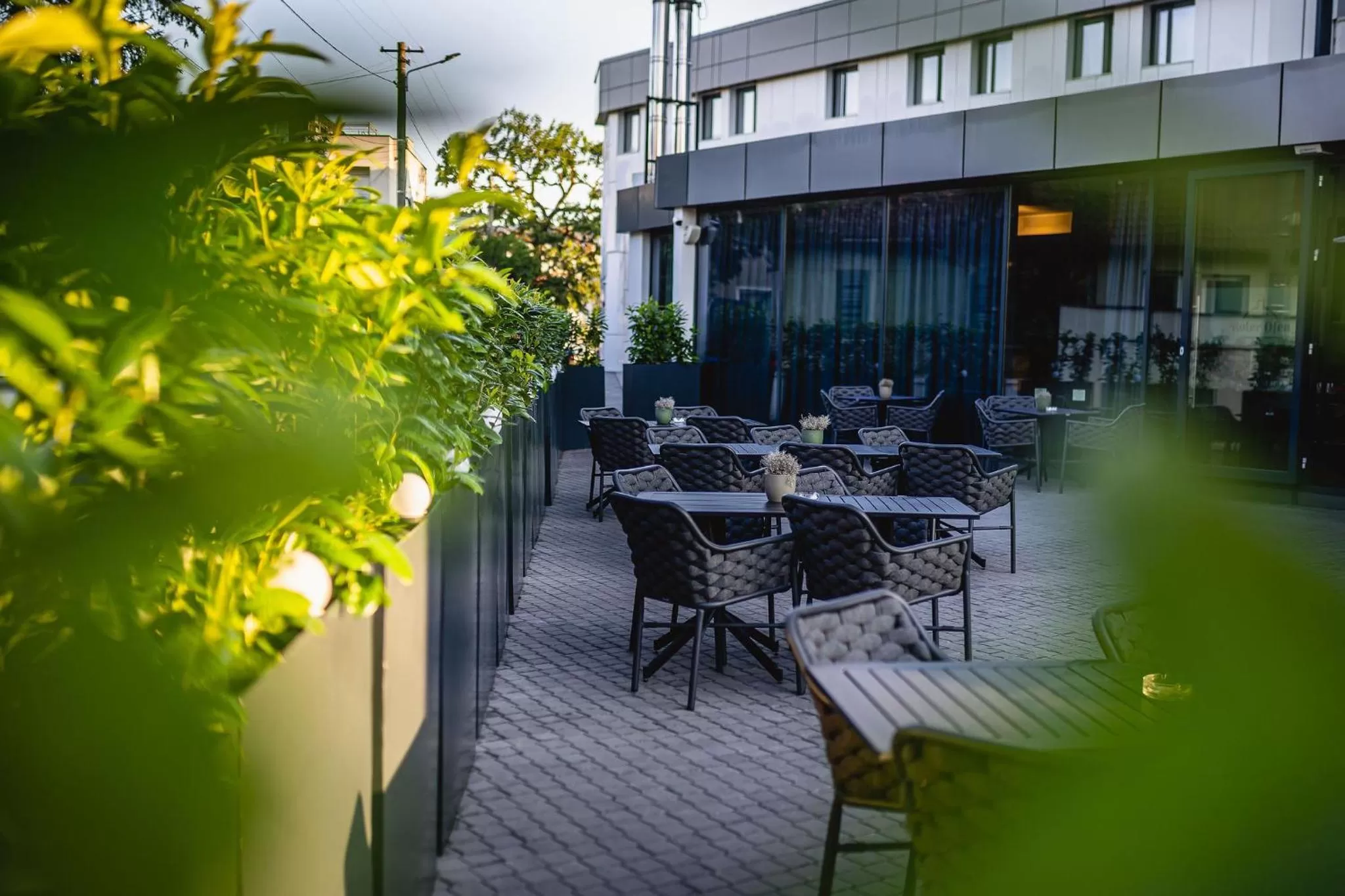 Restaurant/places to eat in Hermanns Hotel & Spa Sibiu