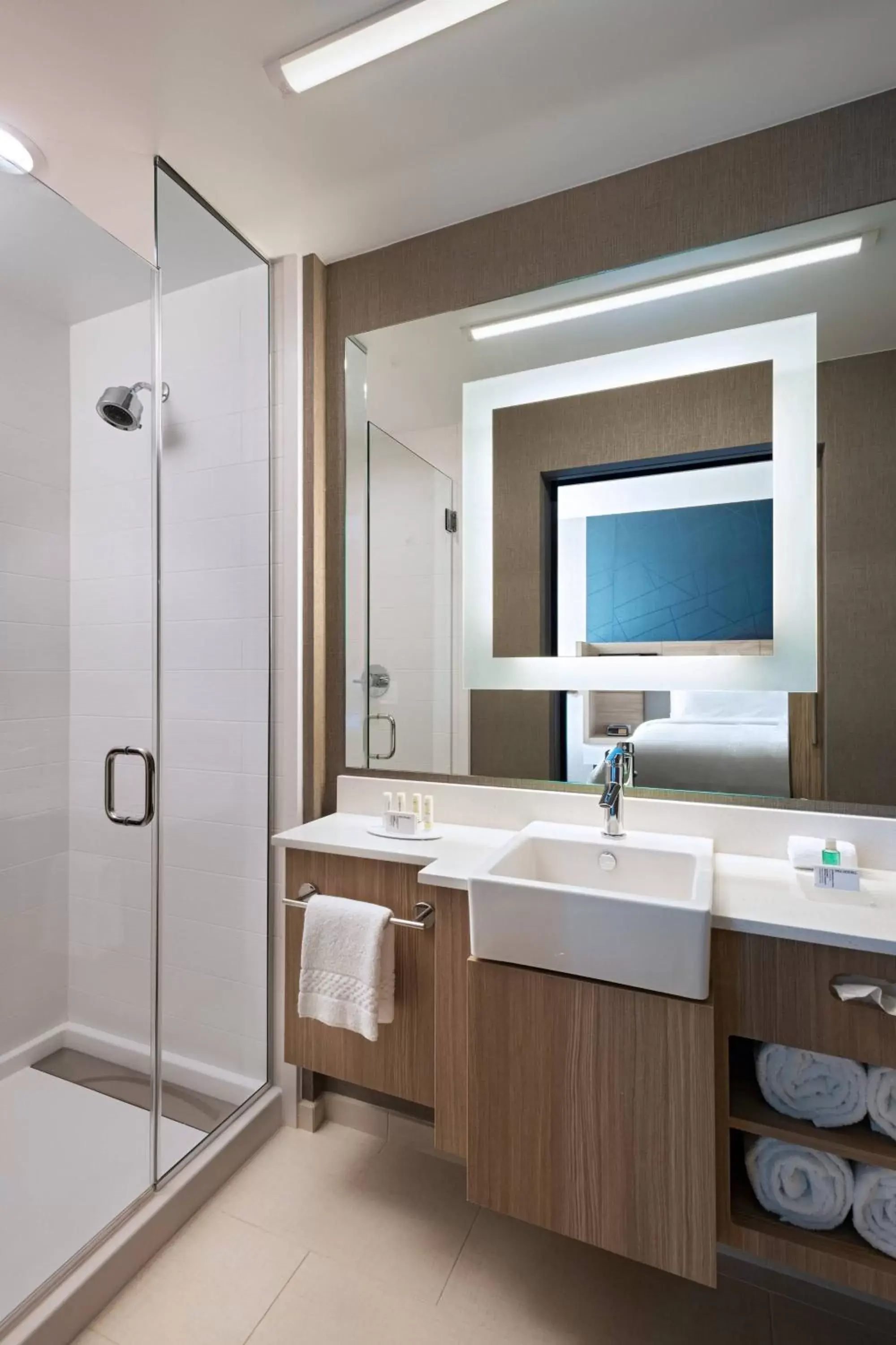 Bathroom in SpringHill Suites by Marriott Dallas Richardson/University Area