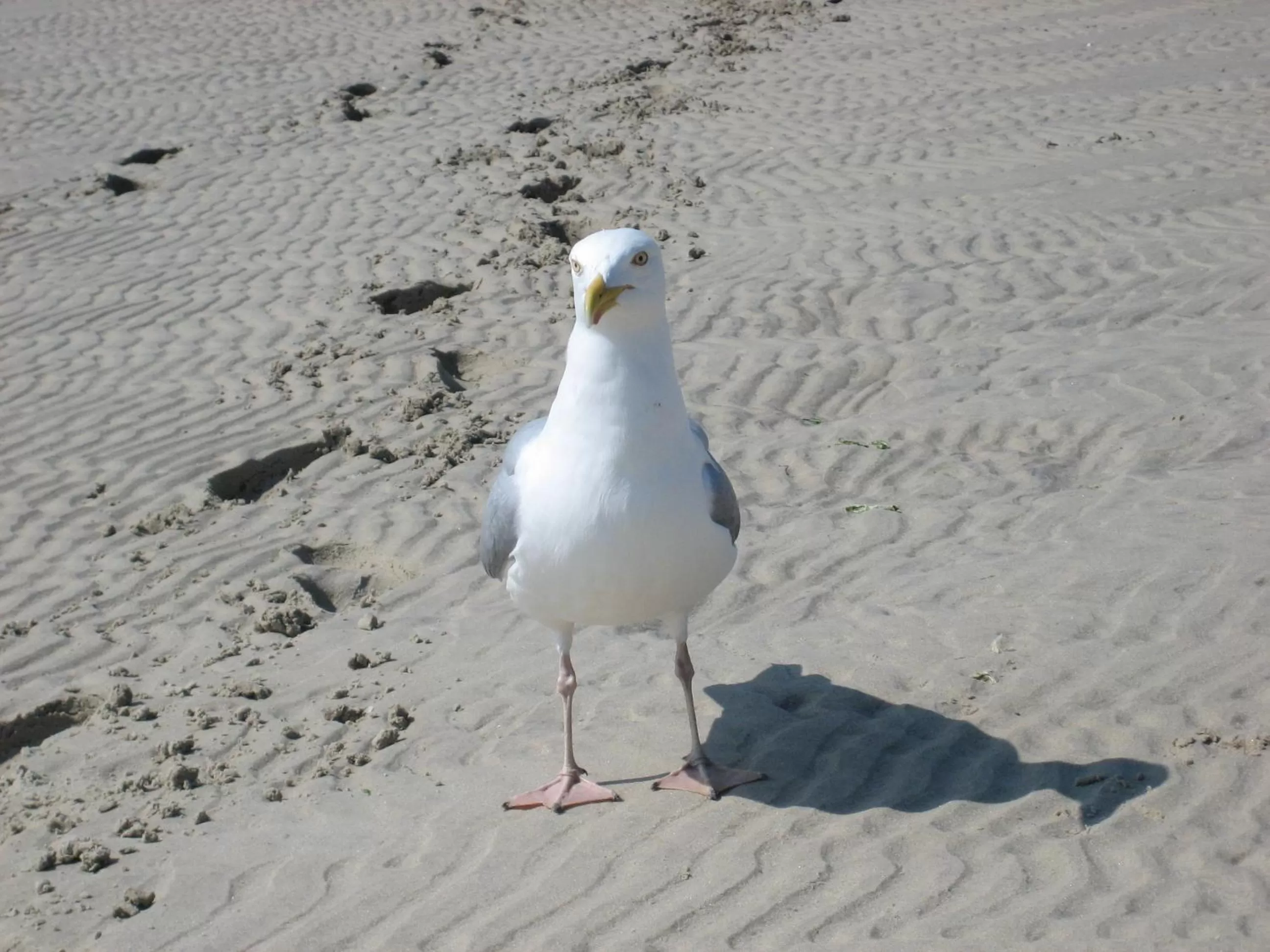 Other in Landhaus Riedel