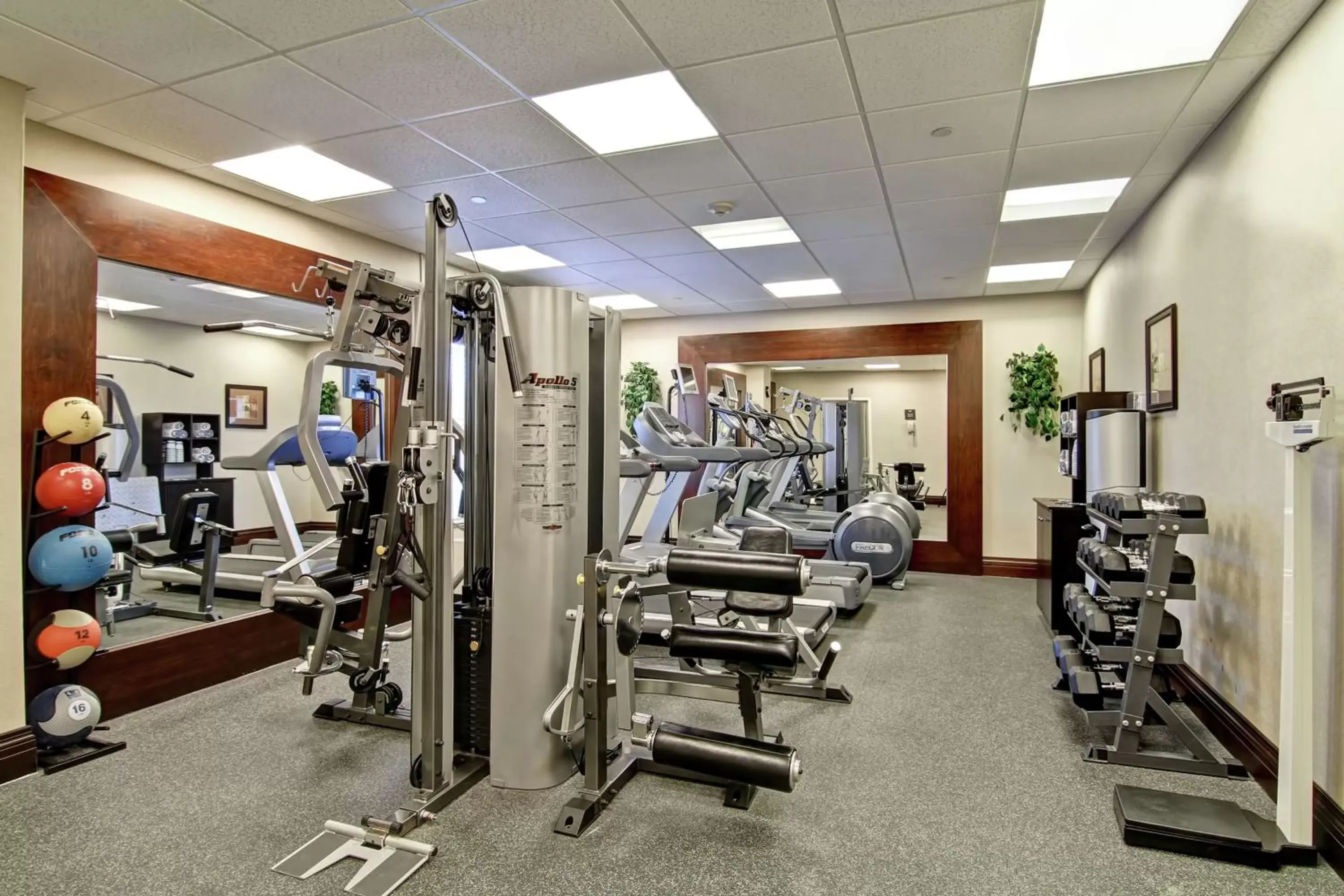 Fitness centre/facilities, Fitness Center/Facilities in Homewood Suites by Hilton Sudbury