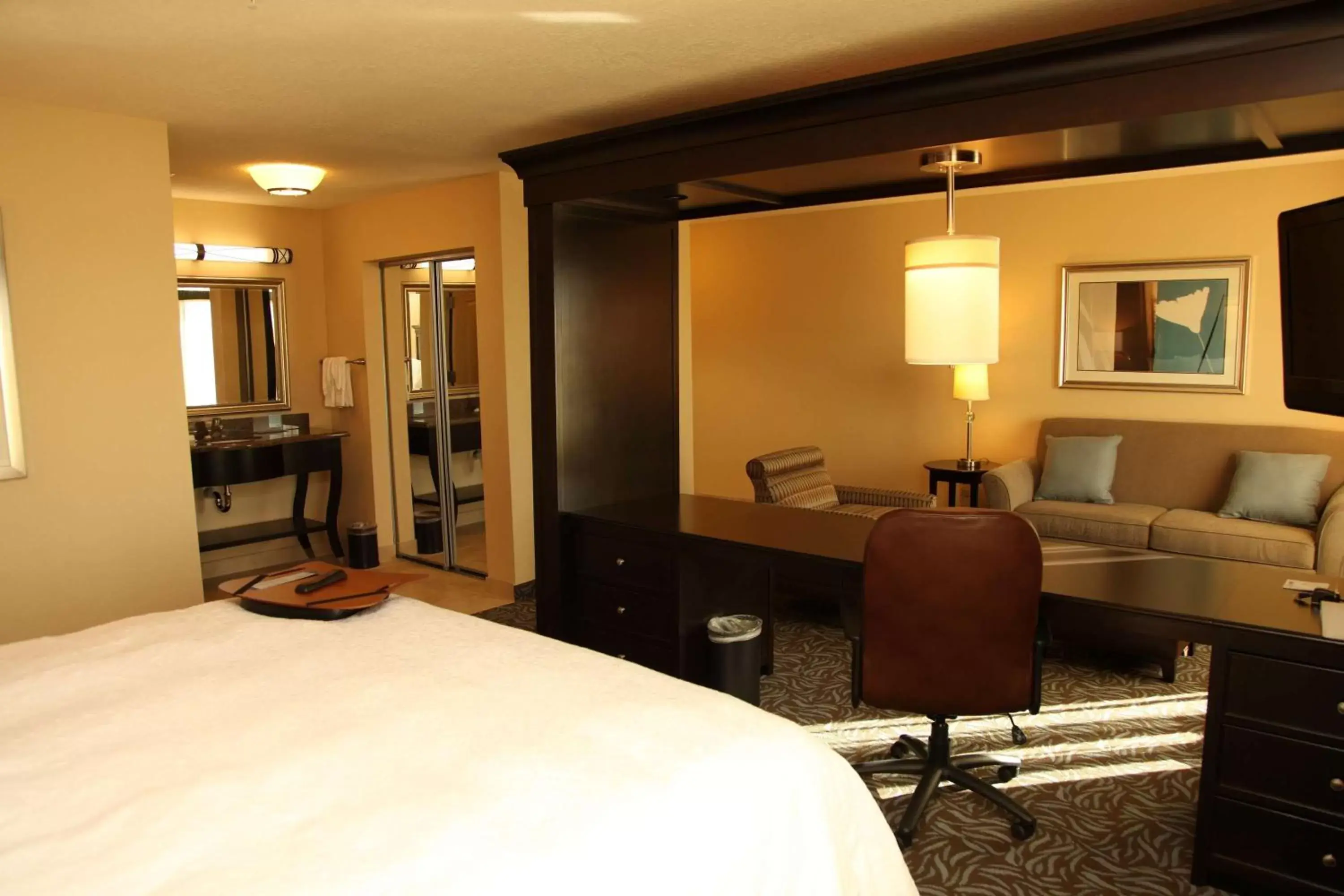 Bedroom in Hampton Inn & Suites Carlsbad