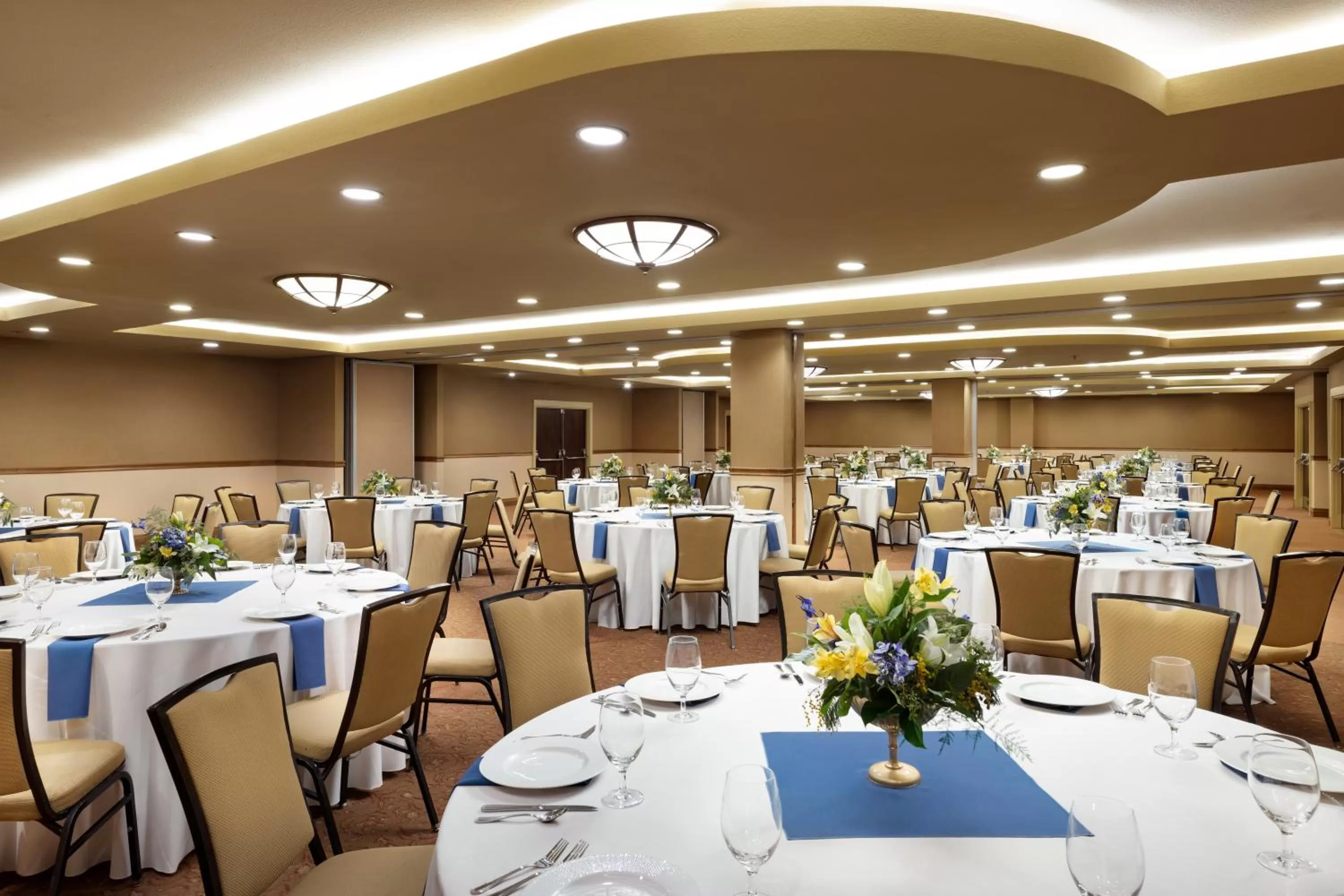 Banquet/Function facilities in Elevation Hotel & Spa