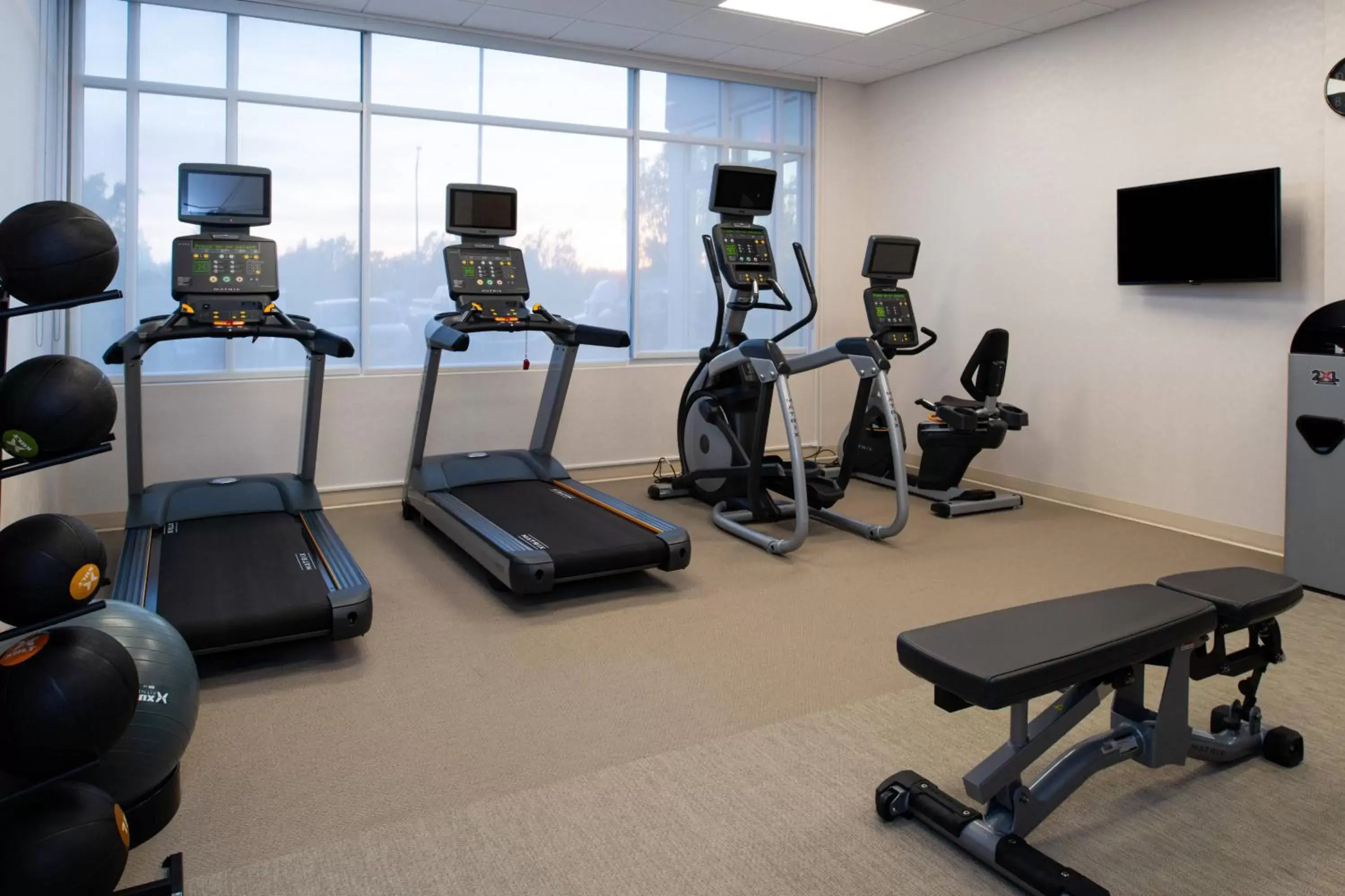 Fitness centre/facilities, Fitness Center/Facilities in SpringHill Suites by Marriott Kansas City Northeast