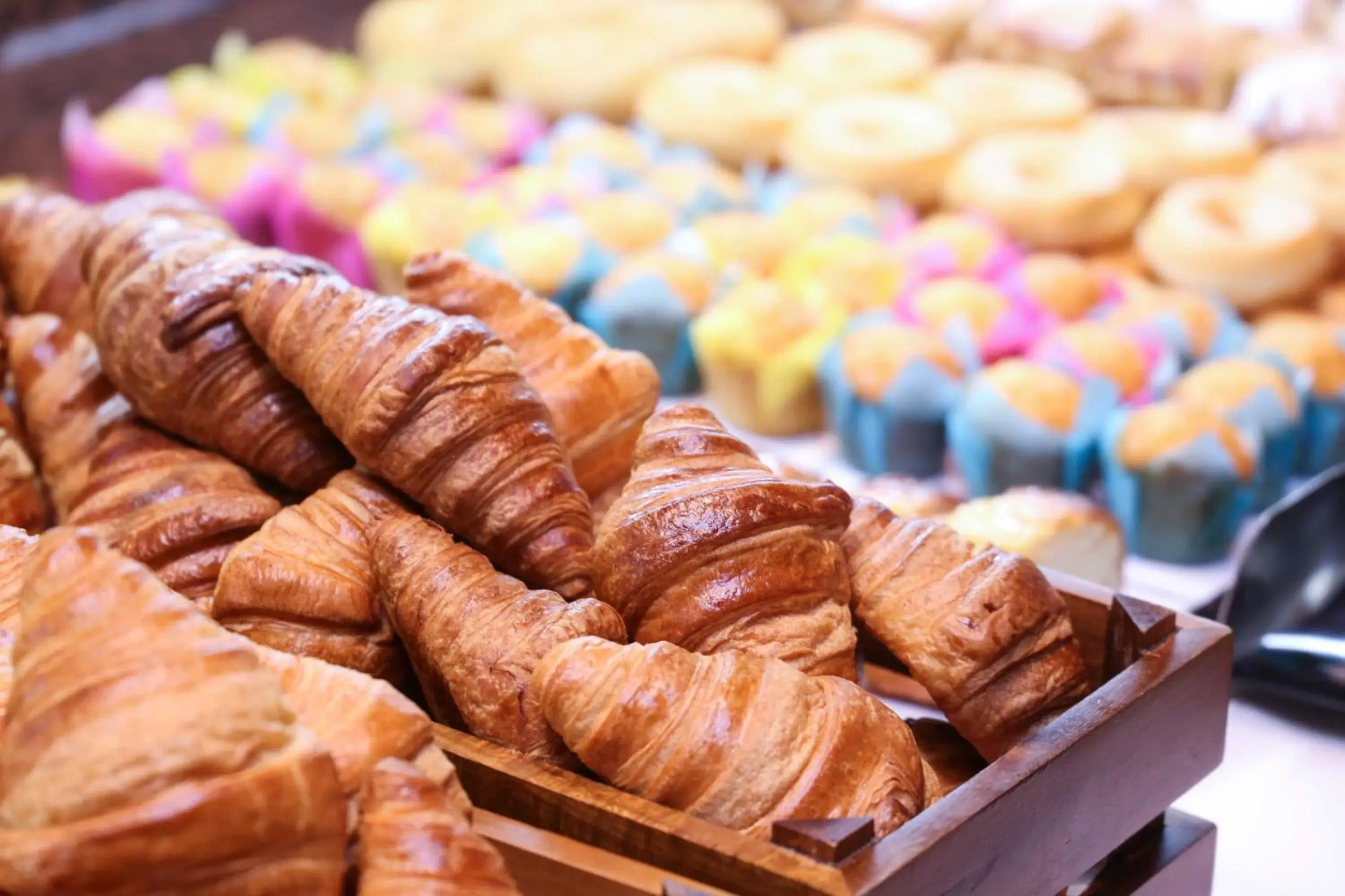 Buffet breakfast in KAKTUS Hotel Volga - Adults Recommended Buffet breakfast in KAKTUS Hotel Volga - Adults Recommended