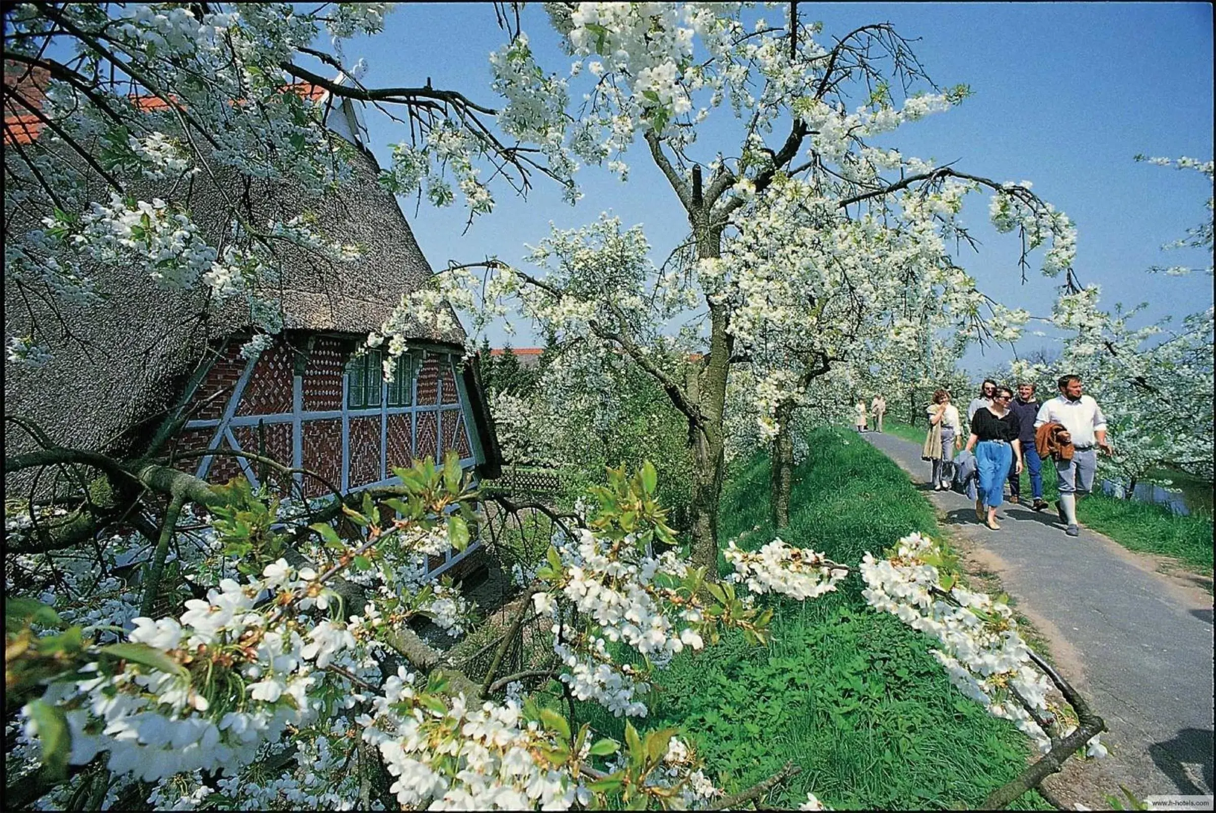 Natural landscape, Property Building in H+ Hotel Stade Herzog Widukind