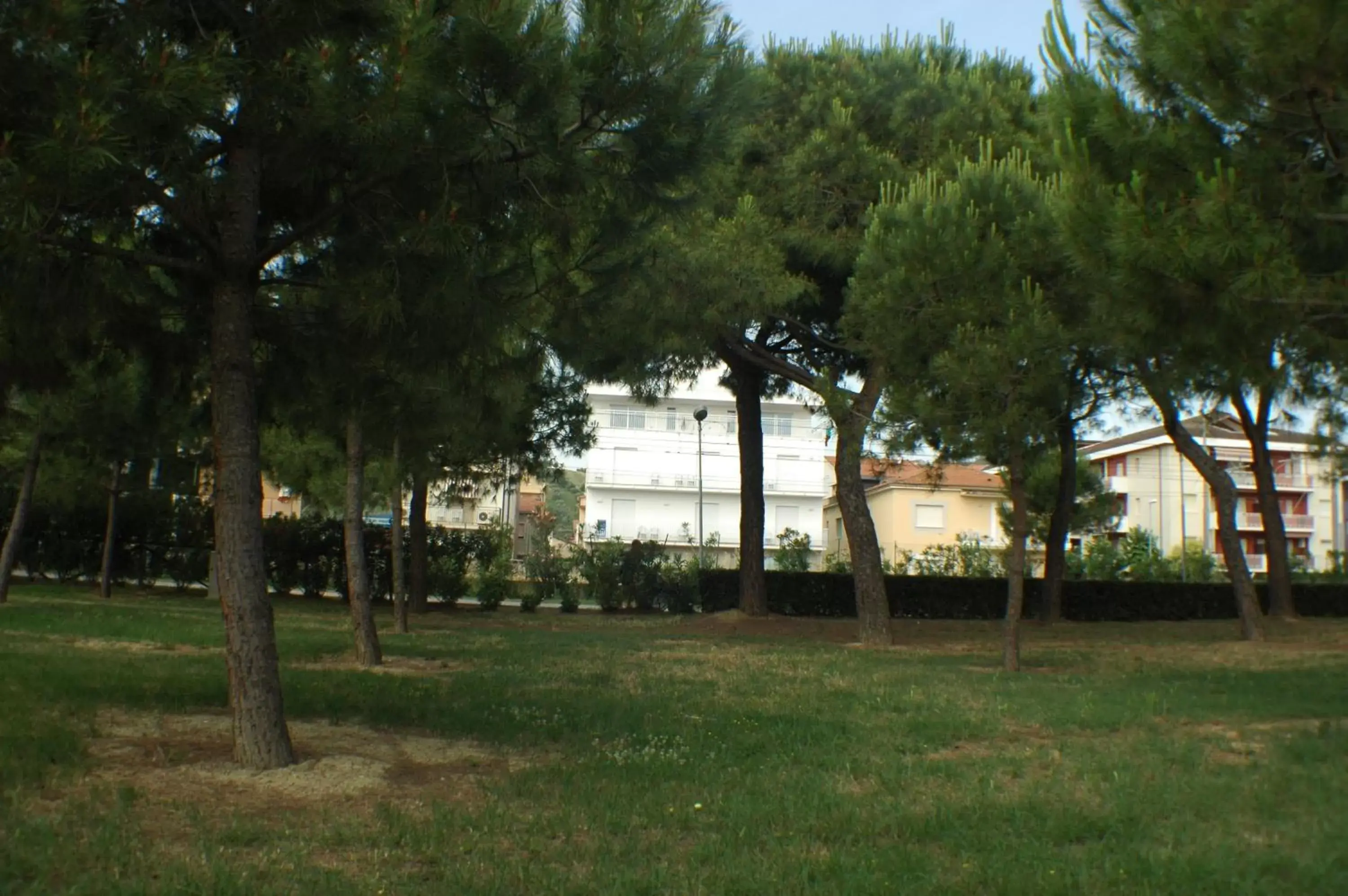 Beach, Garden in Hotel Miramare