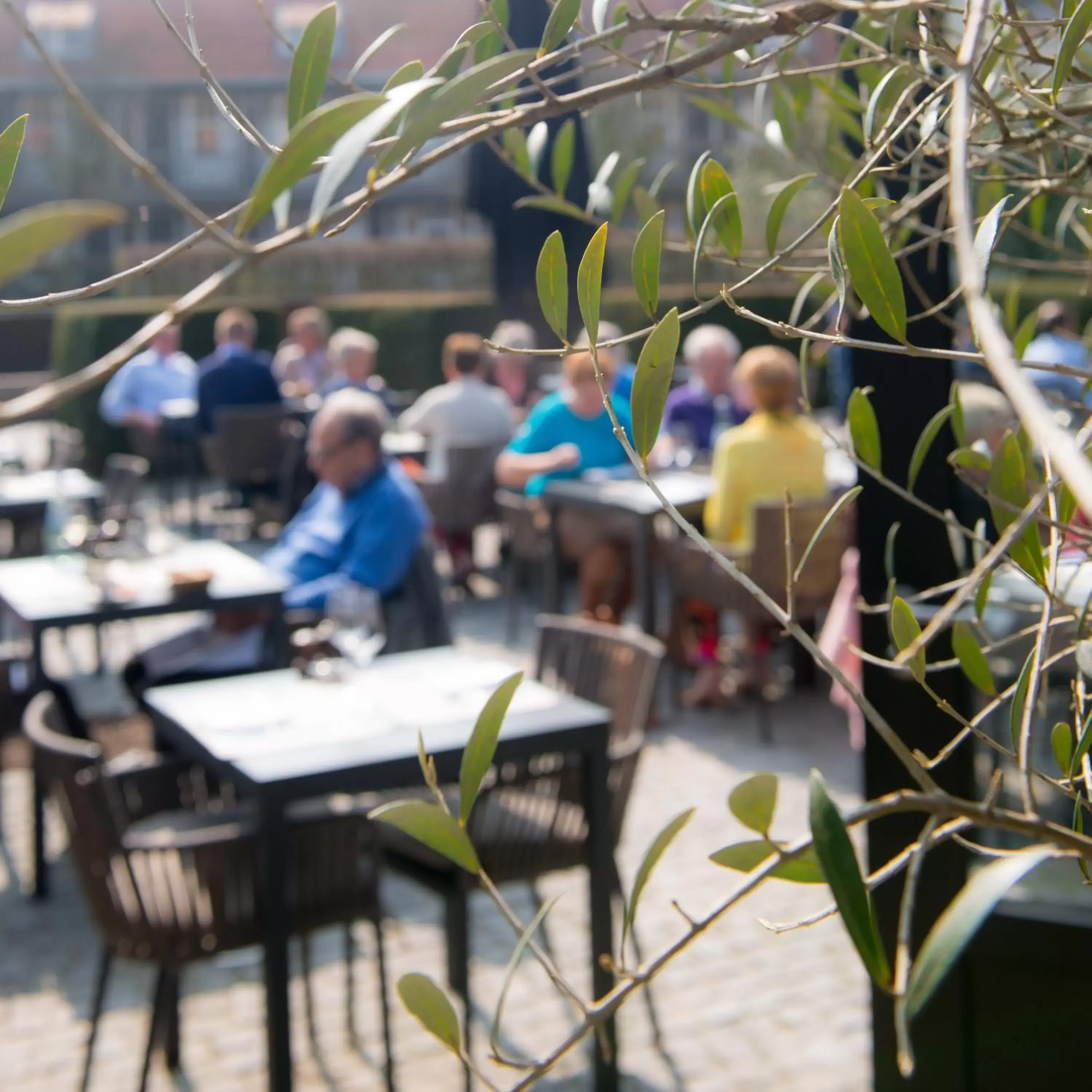 Balcony/Terrace, Restaurant/Places to Eat in Hotel Montanus