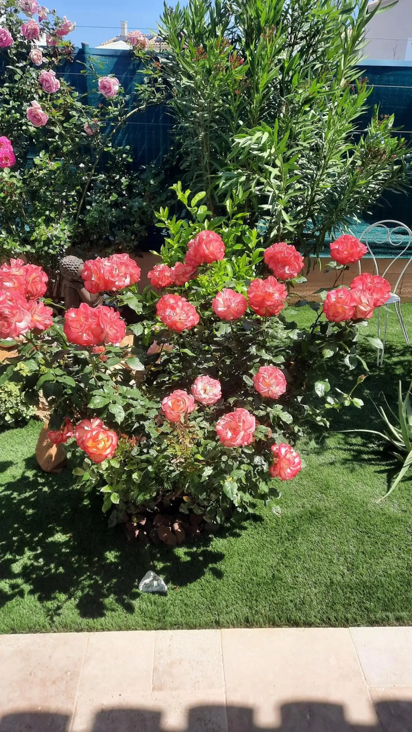 Garden in Chambre d'hôtes dans Villa Diane