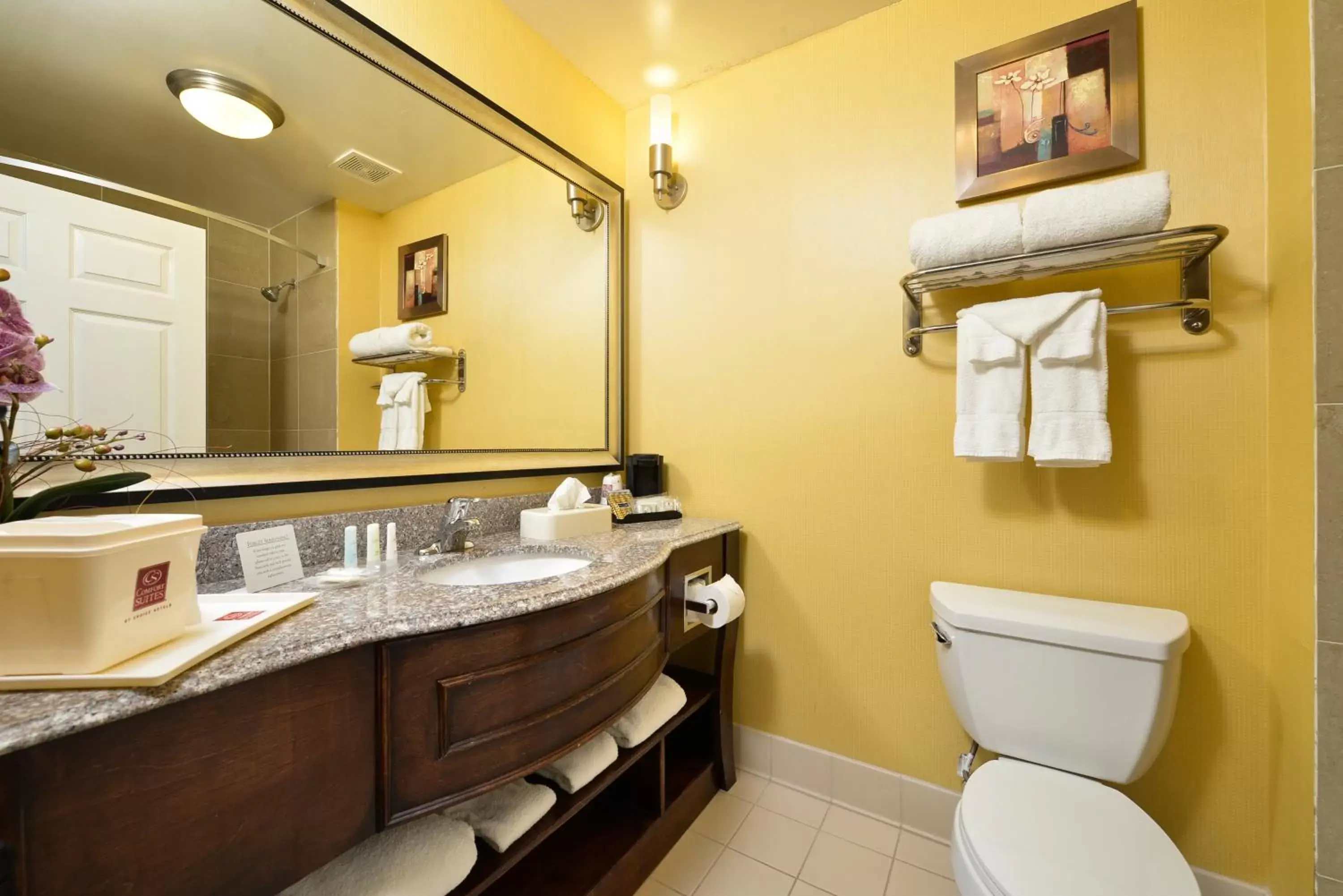 Bathroom in Comfort Suites Bay City