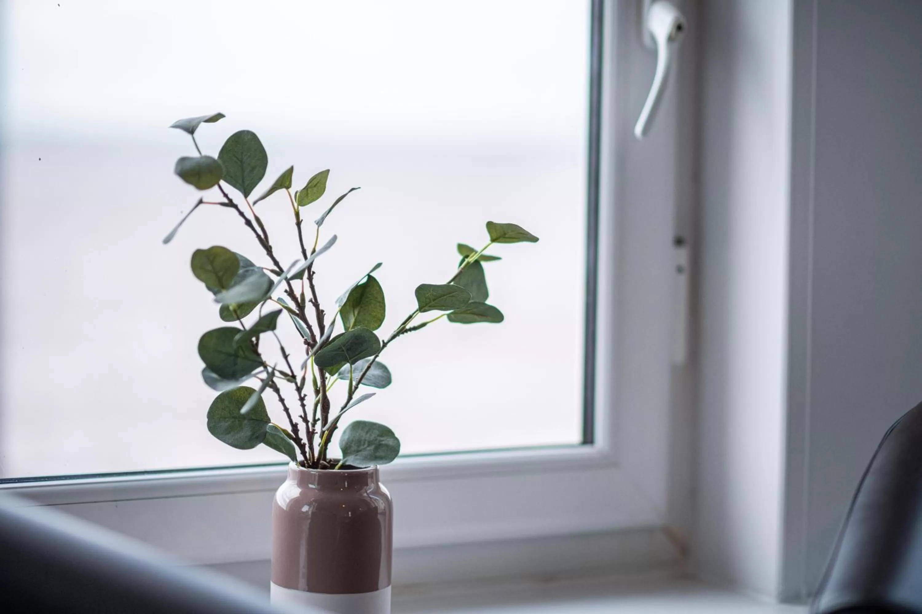 View (from property/room) in The Elizabeth