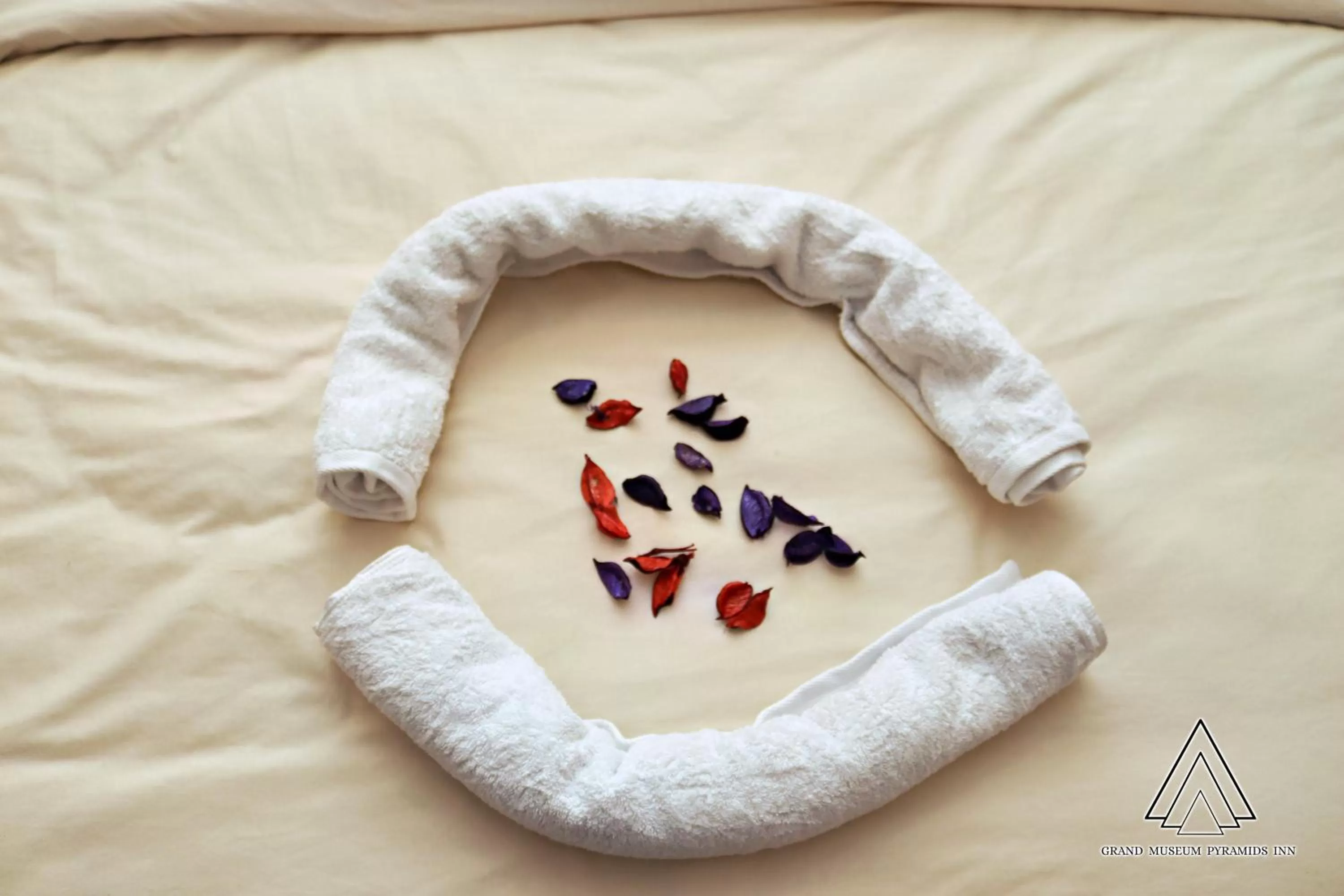 Bed in Grand Museum Pyramids Inn