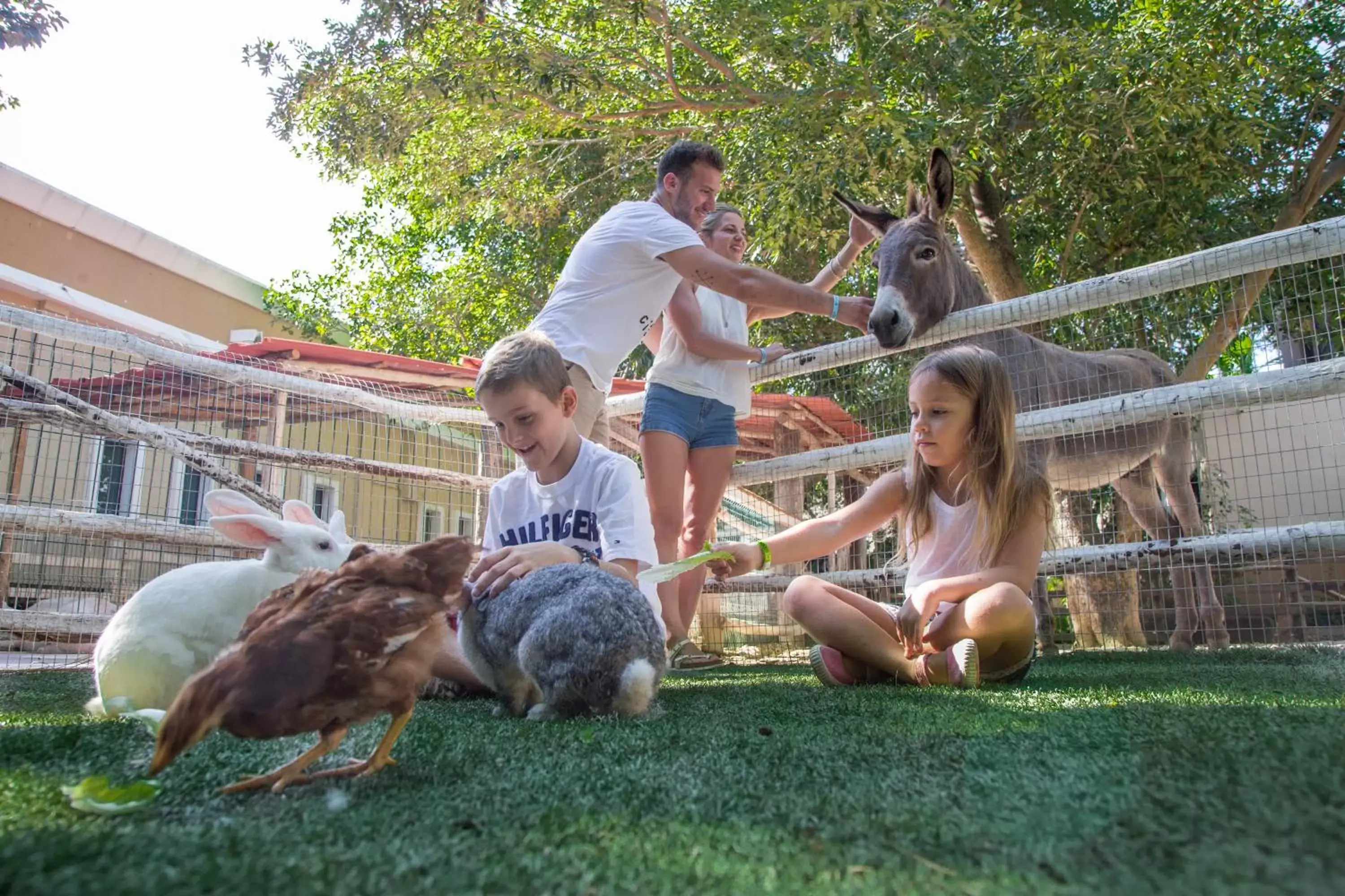 Animals in Sandos Caracol Eco Resort All Inclusive