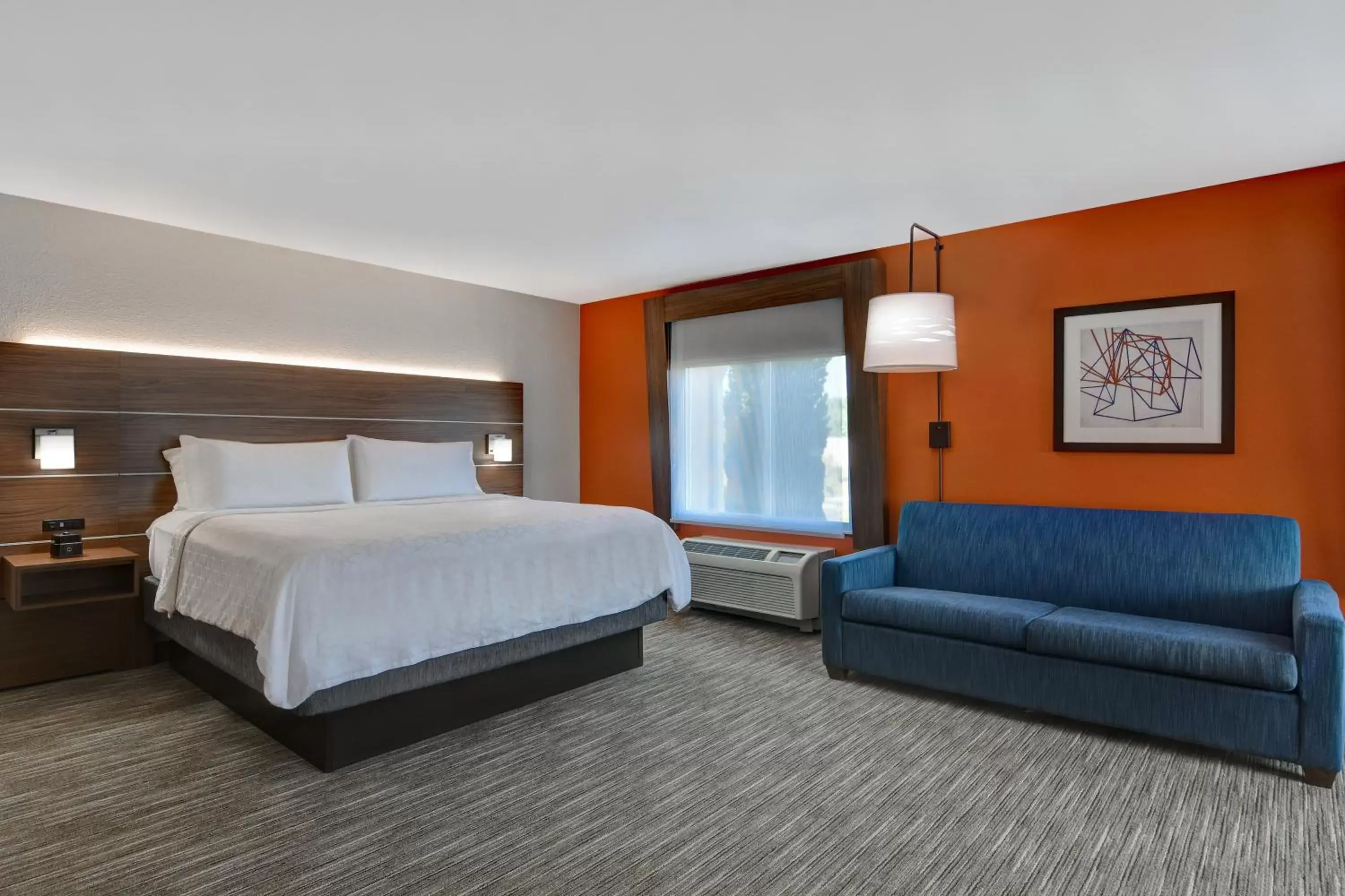 Photo of the whole room in Holiday Inn Express Hotel & Suites Anderson I-85 - HWY 76, Exit 19B, an IHG Hotel