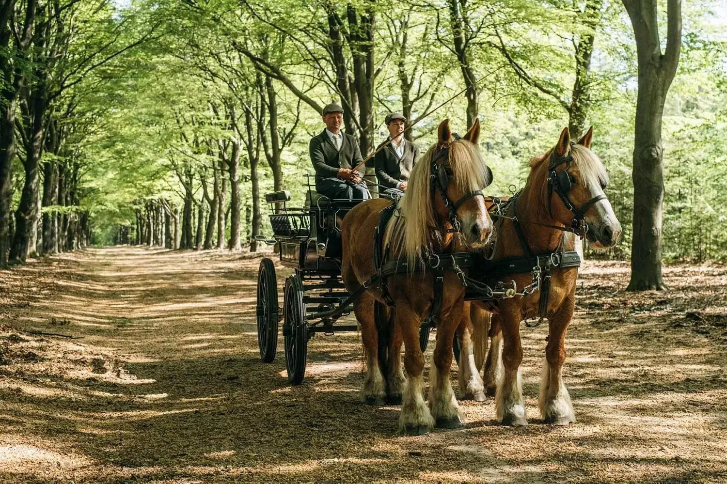 Neighbourhood, Horseback Riding in Van der Valk Hotel Apeldoorn - de Cantharel