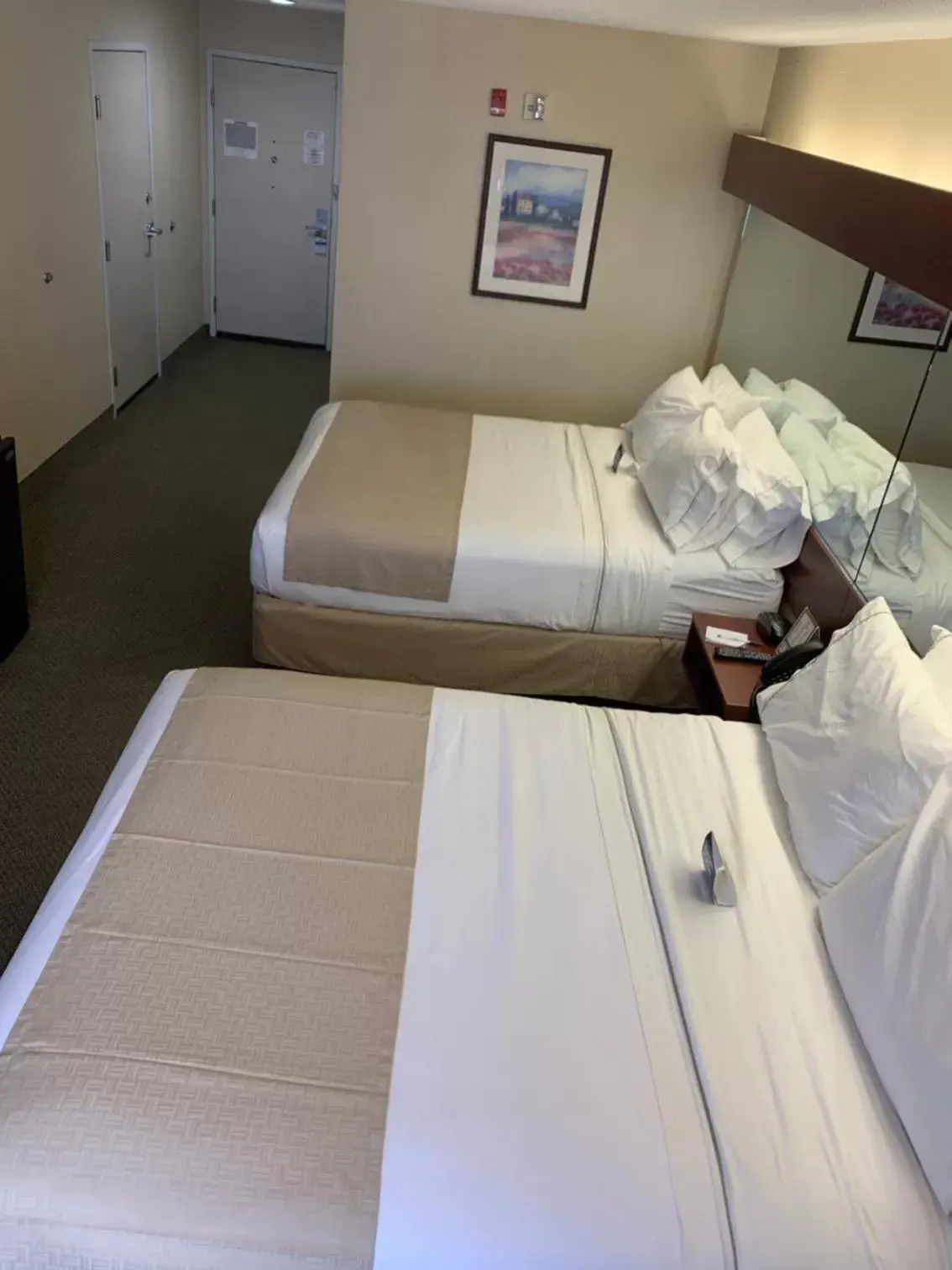 Queen Room with Two Queen Beds - Non-Smoking in Microtel Inn & Suites by Wyndham Hattiesburg Queen Room with Two Queen Beds - Non-Smoking in Microtel Inn & Suites by Wyndham Hattiesburg