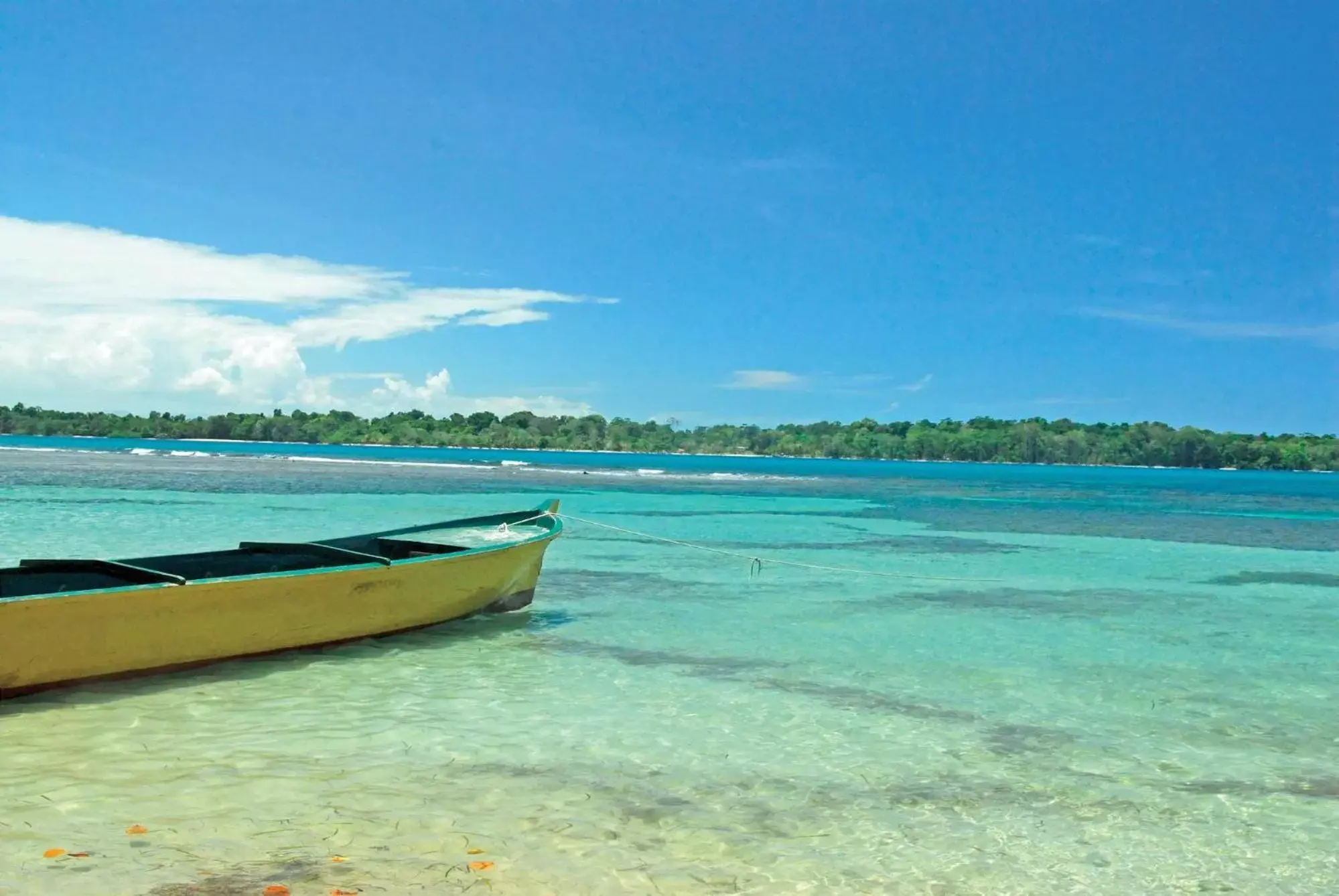 Beach in Playa Tortuga Hotel and Beach Resort