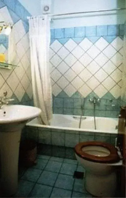 Bathroom in Hani Zemenou