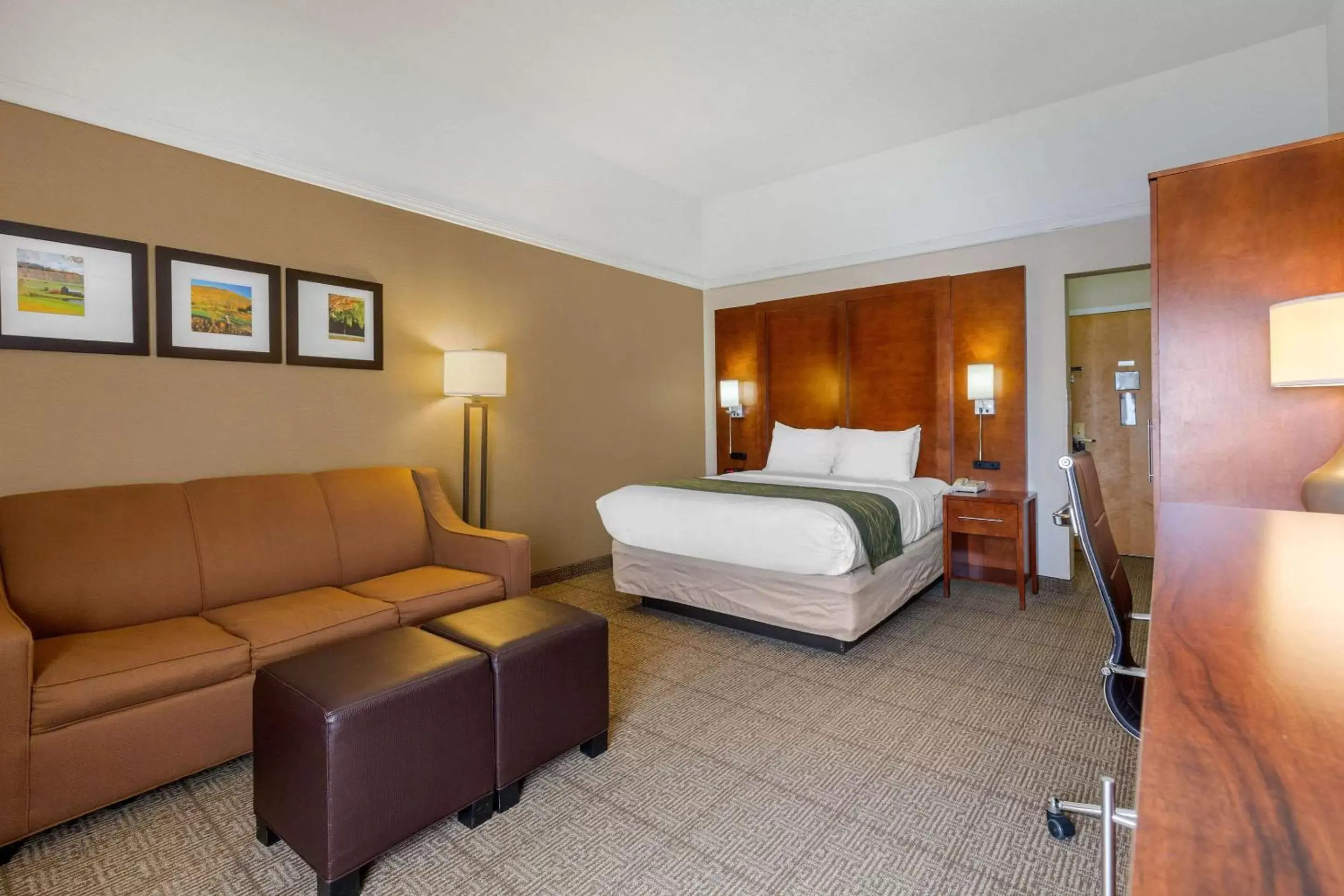 Photo of the whole room in Comfort Inn Trolley Square