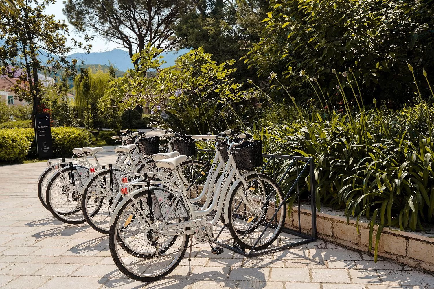 Cycling in Lazure Hotel & Marina