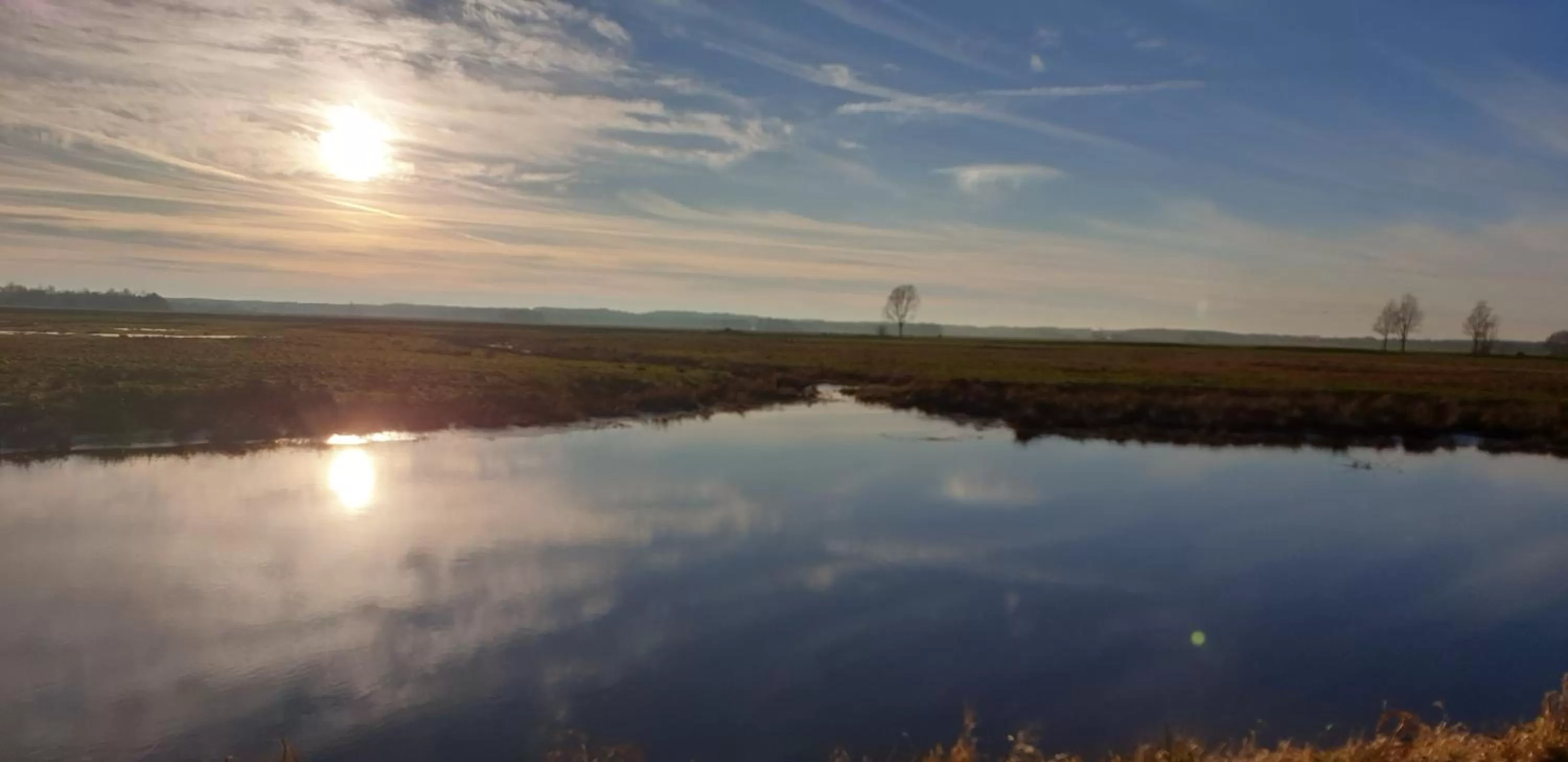Natural landscape, Swimming Pool in Guesthouse Het Gouden Eiland