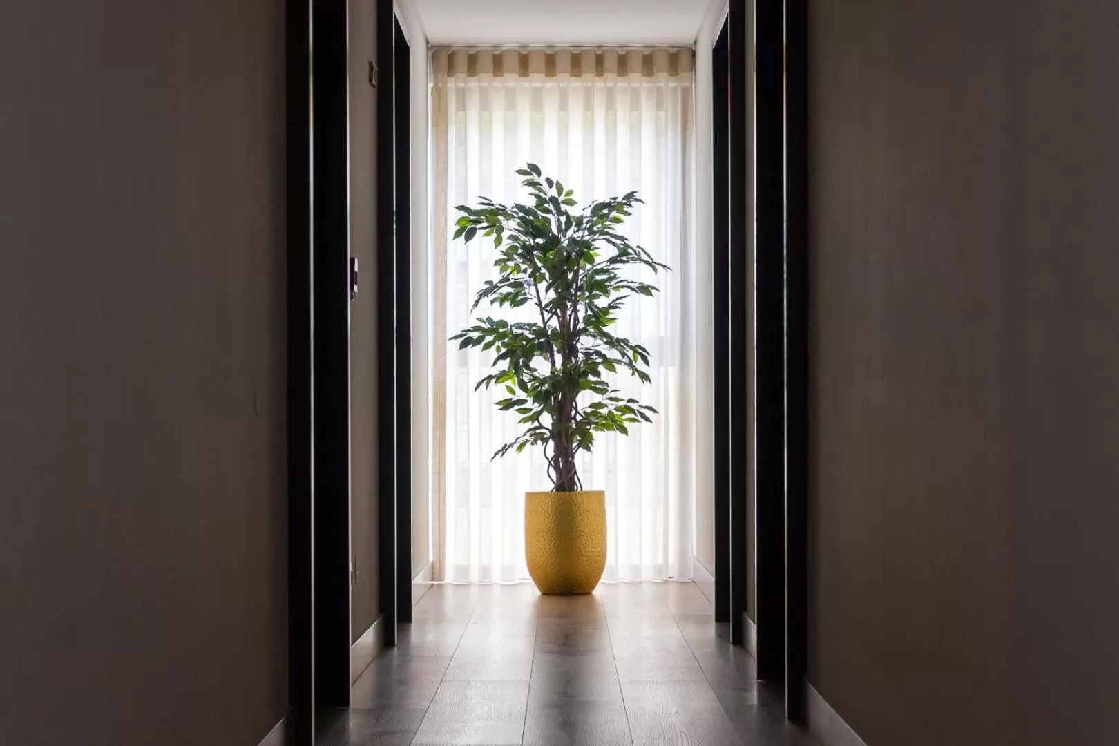 Decorative detail in Ribeira House