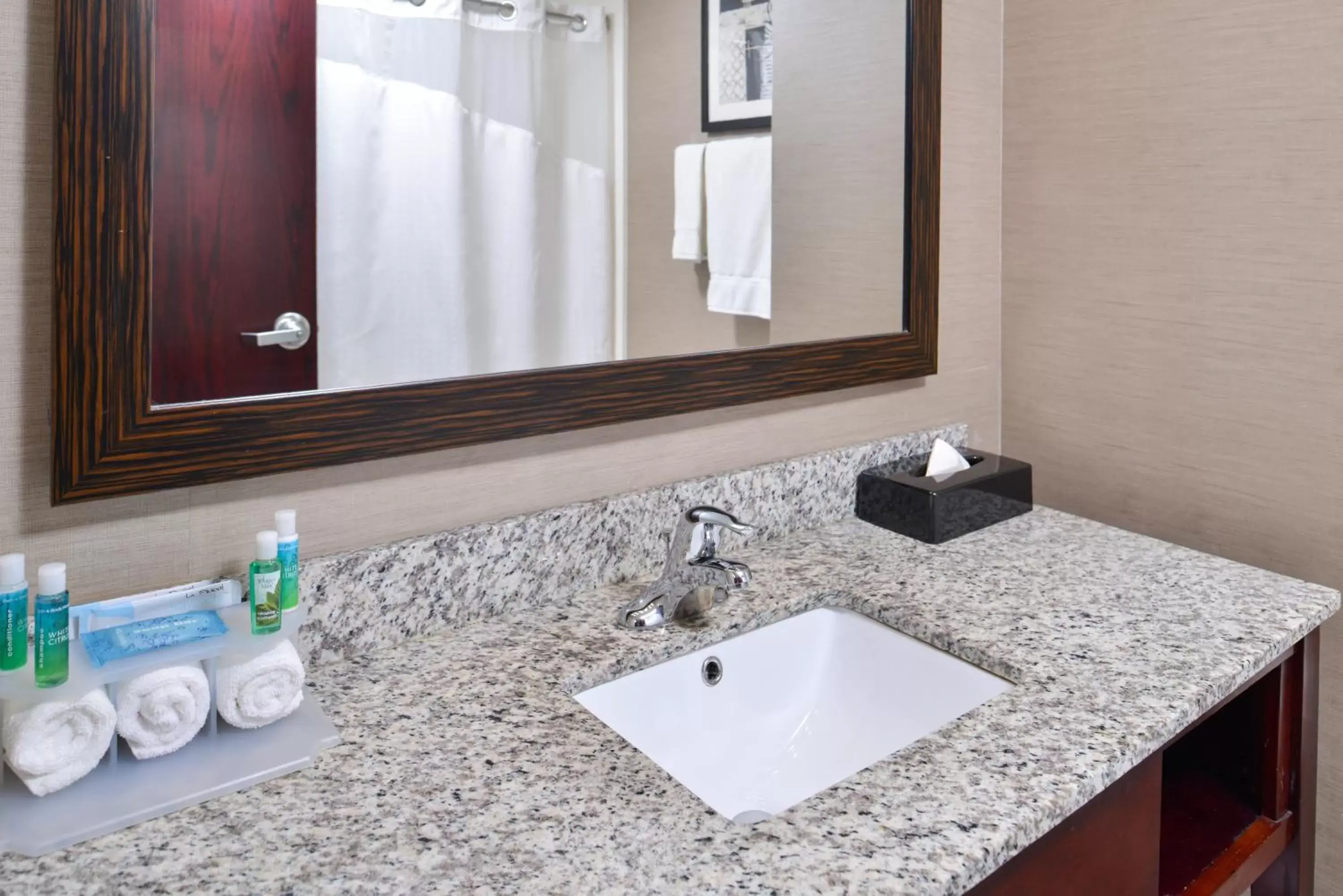 Bathroom in Holiday Inn Express Canandaigua, an IHG Hotel
